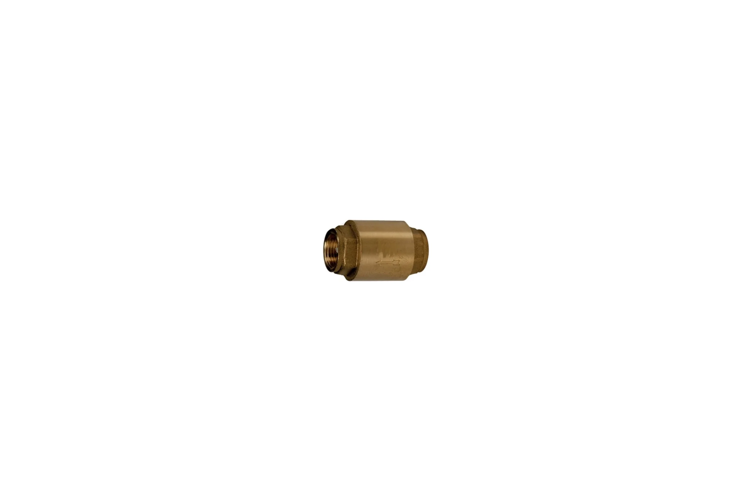 Обратный клапан Giacomini R60, дисковый, 3/4, ВВ, PN, бар-16 R60Y004