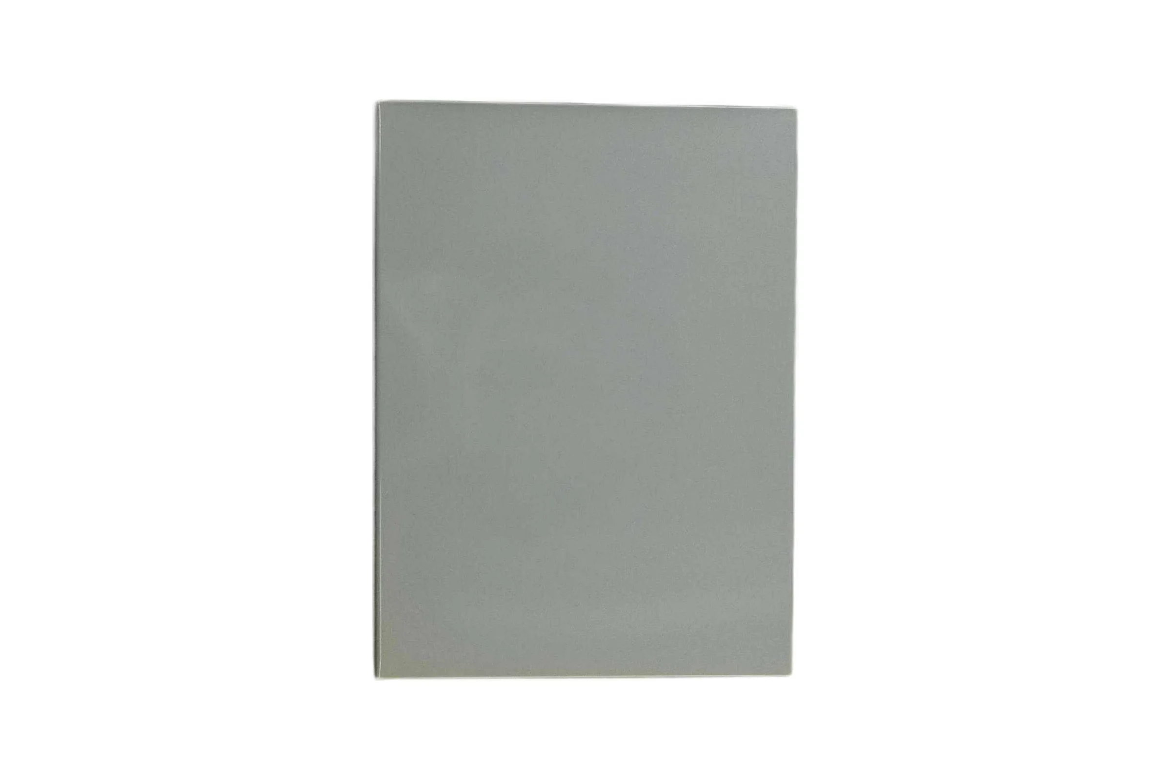 Передняя дверца Baxi для Slim UB 80 3618960