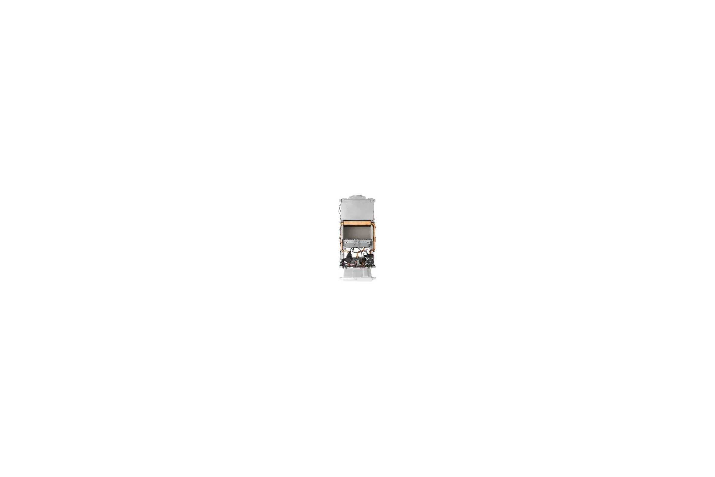 Настенный газовый котел PROTHERM Гепард 23 MOV 0010015236