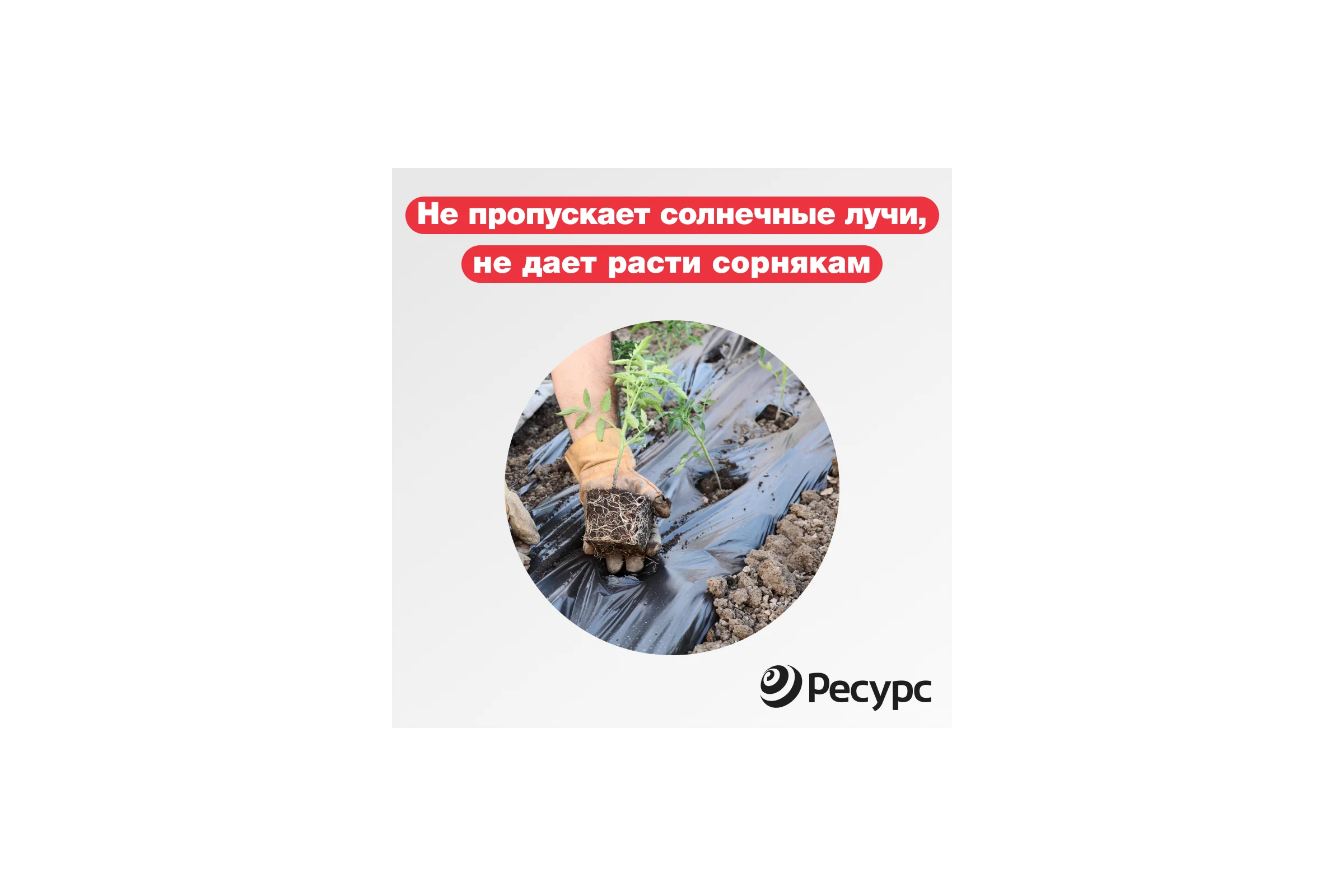 Пленка черная (80 мкм, 5х1.5 м) Ресурс 10081