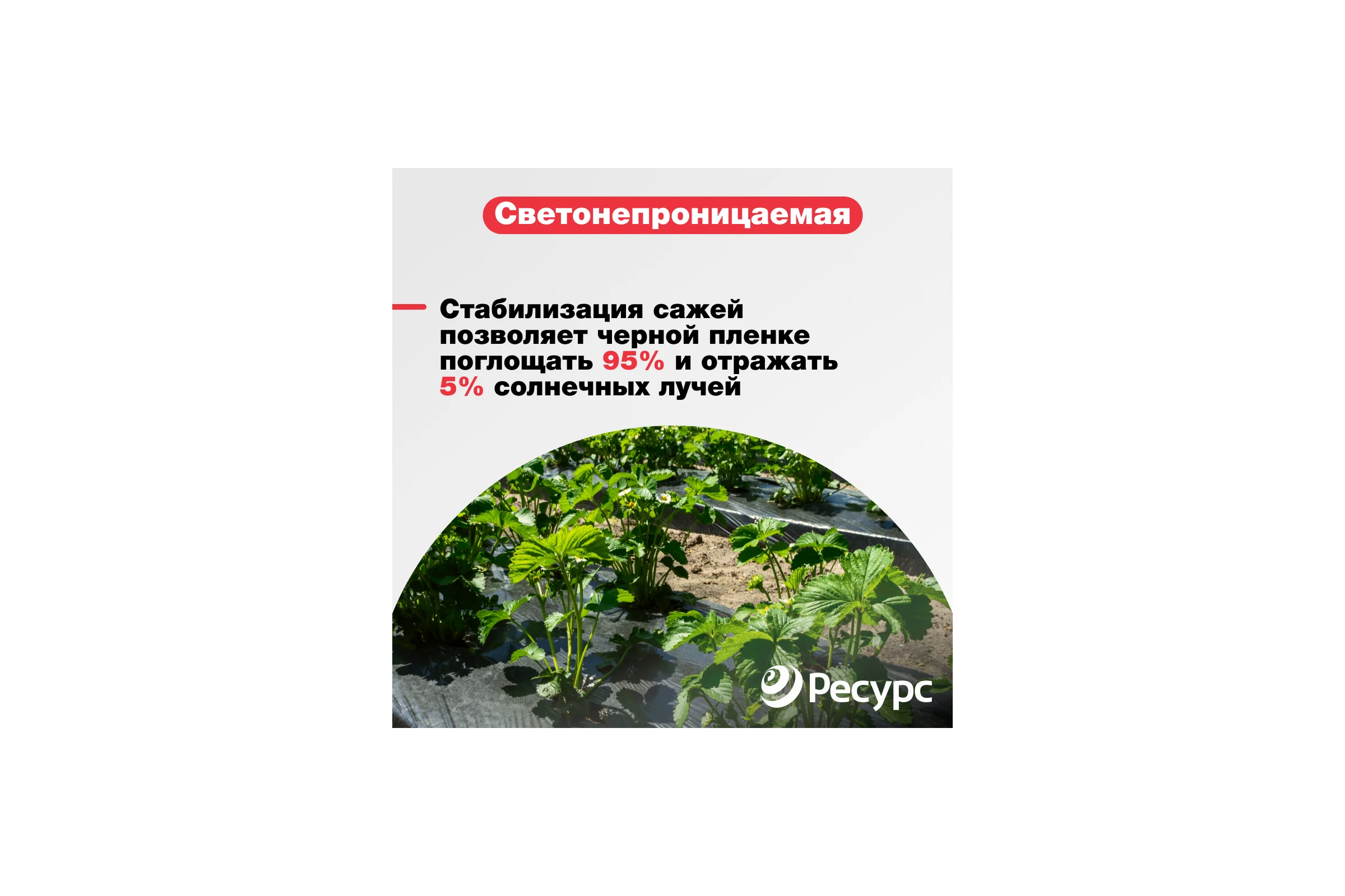 Пленка черная (80 мкм, 10х1.5 м) Ресурс 10078
