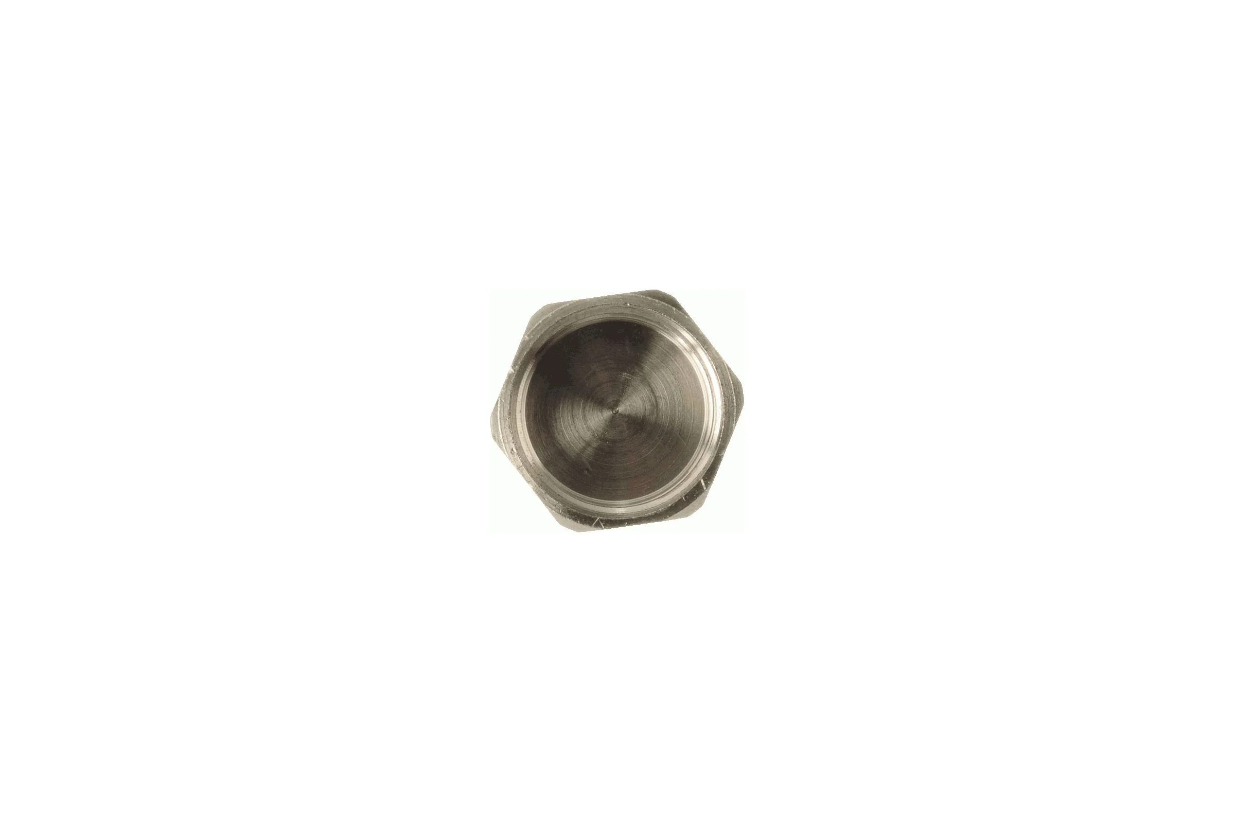 Заглушка на трубу Terma 1" TRm 06037 18975