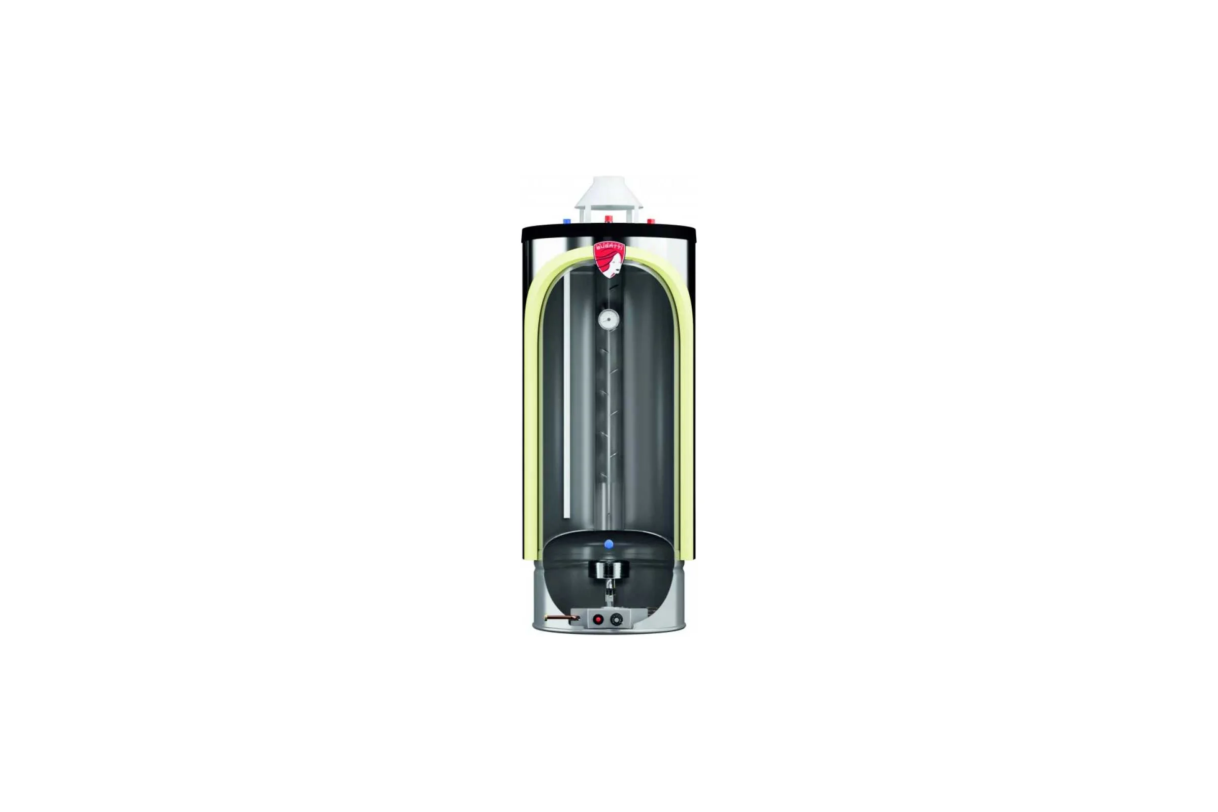 Водонагреватель газовый INOX Premium WH200P Federica Bugatti