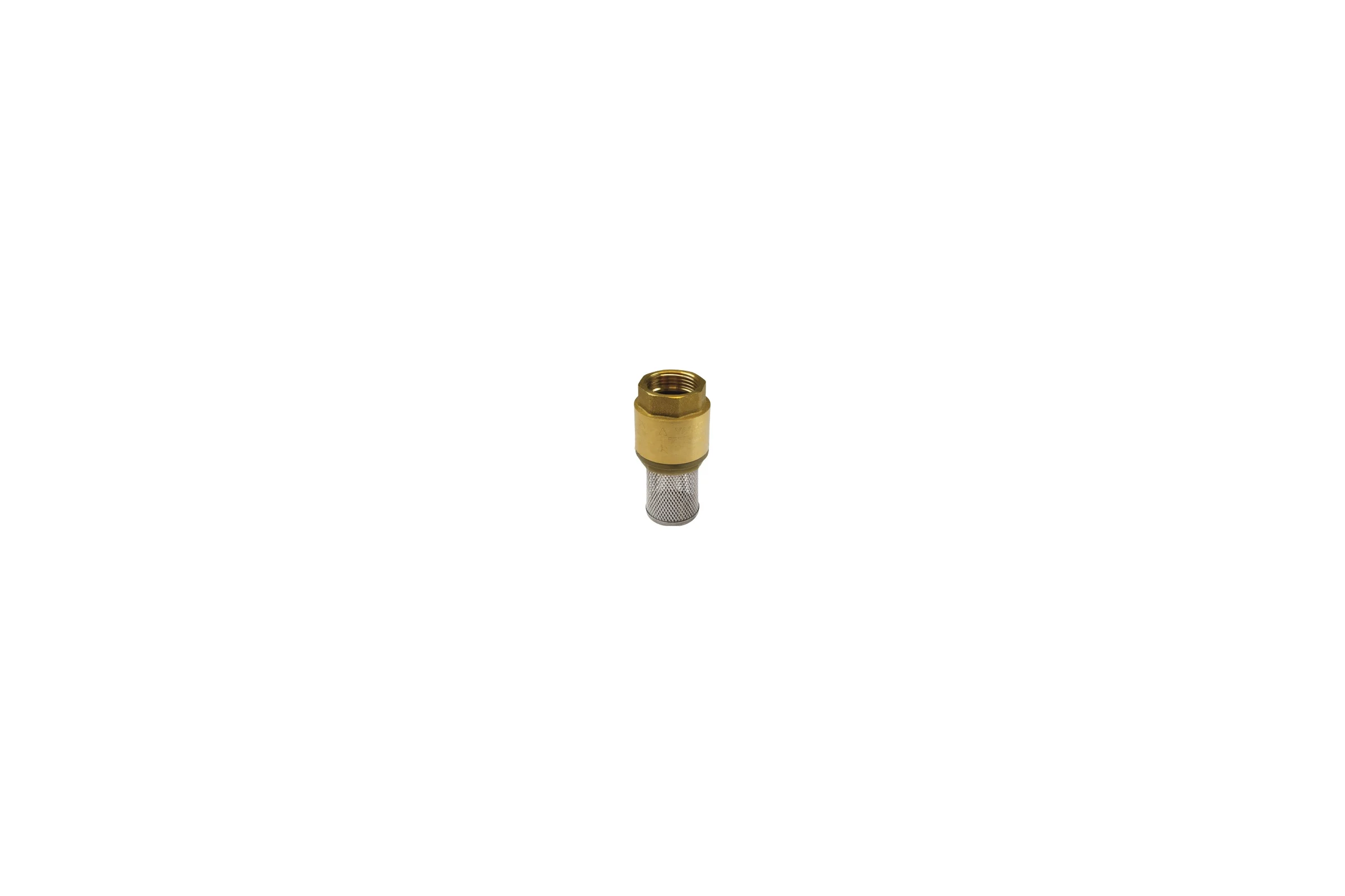 Обратный клапан Tiemme 3/4", пружинный, с фильтр сеткой 3500037