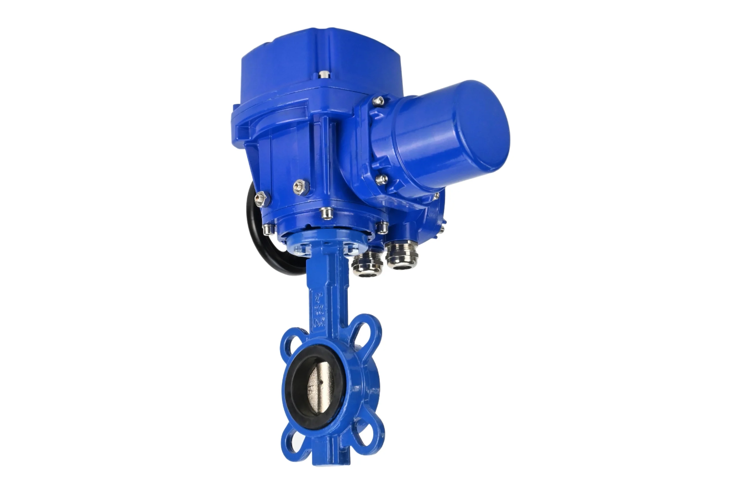Затвор DN.ru GGG50-316L-EPDM Ду100 Ру16 с электроприводом QT-W (M)-010 220В D050-12811