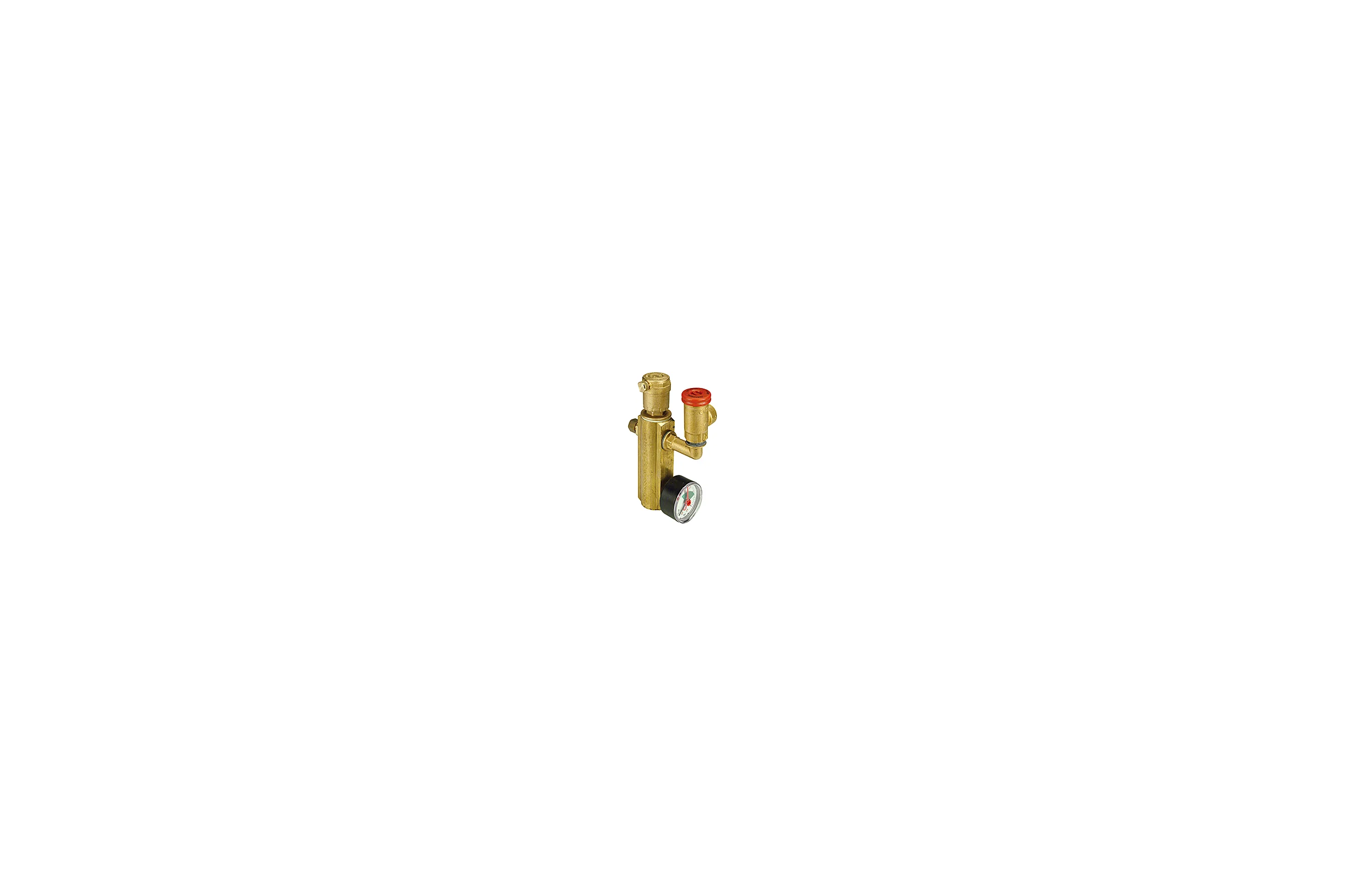Группа безопасности котла Giacomini R554P 1 дюйма, 3 бар с отводом R554PY005 017-2772