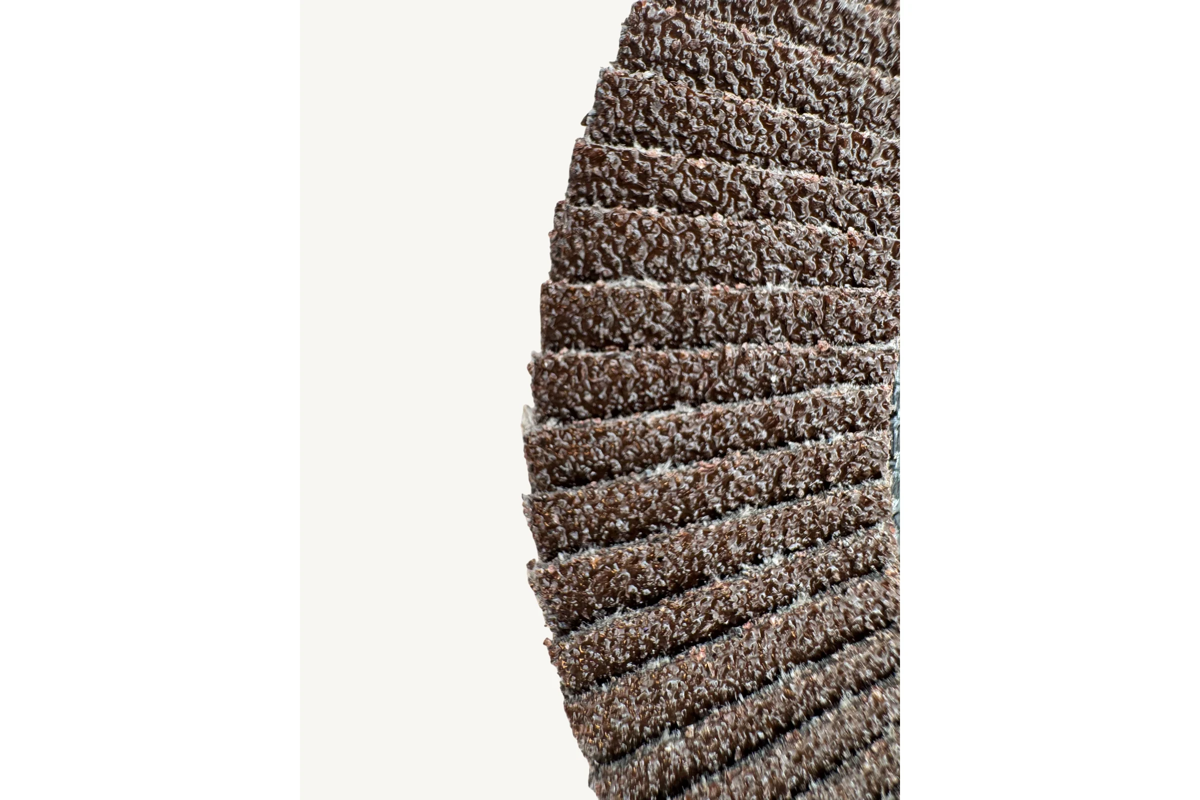 Круг зачистной лепестковый NORMAL (125х22 мм; P40) TIGER ABRASIVE 00-00000154