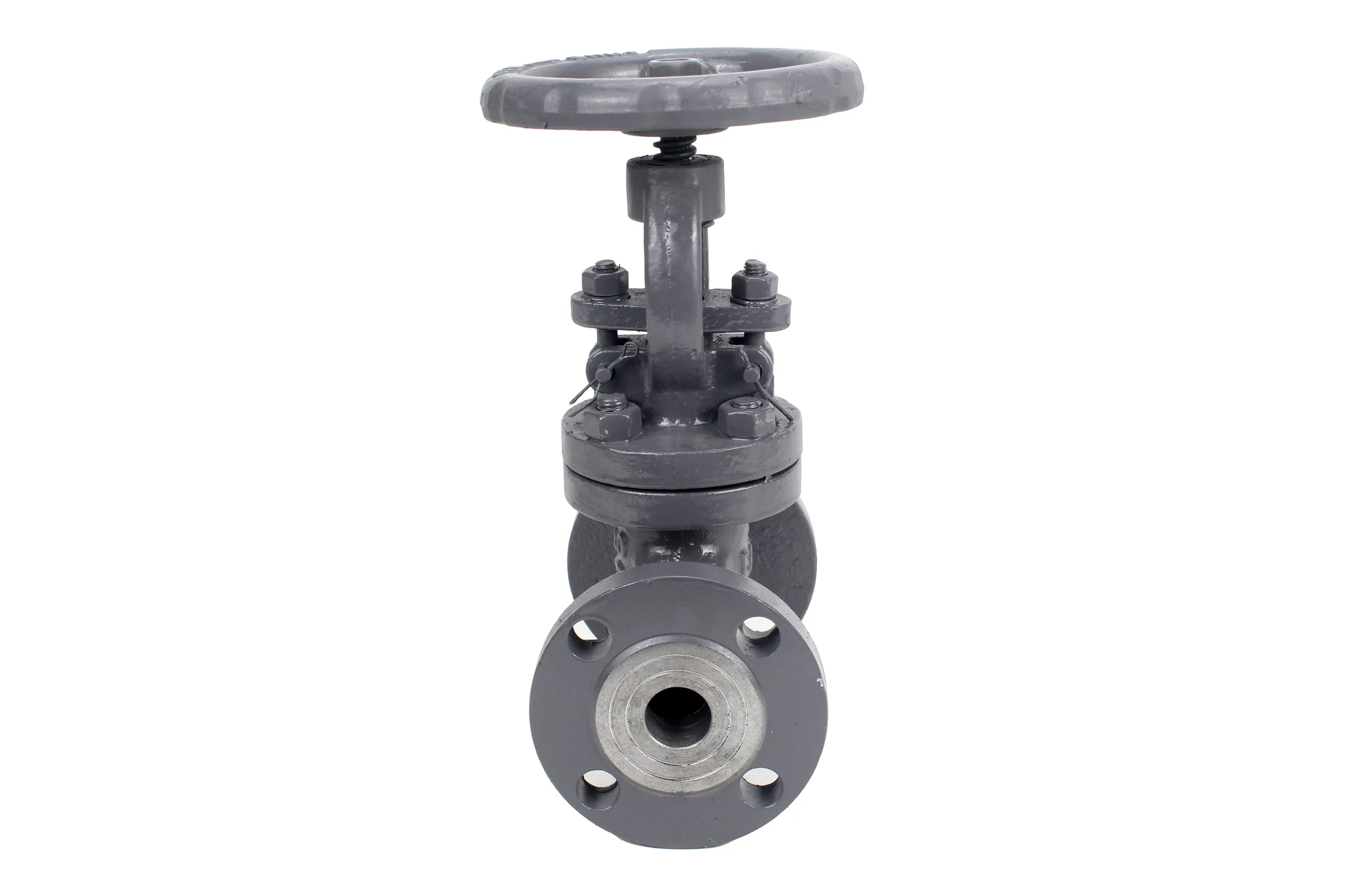 Клапан запорный сальниковый DN.ru 15с22нж WCB-WCB-M-F-S Ду32 Ру40 D090-02868