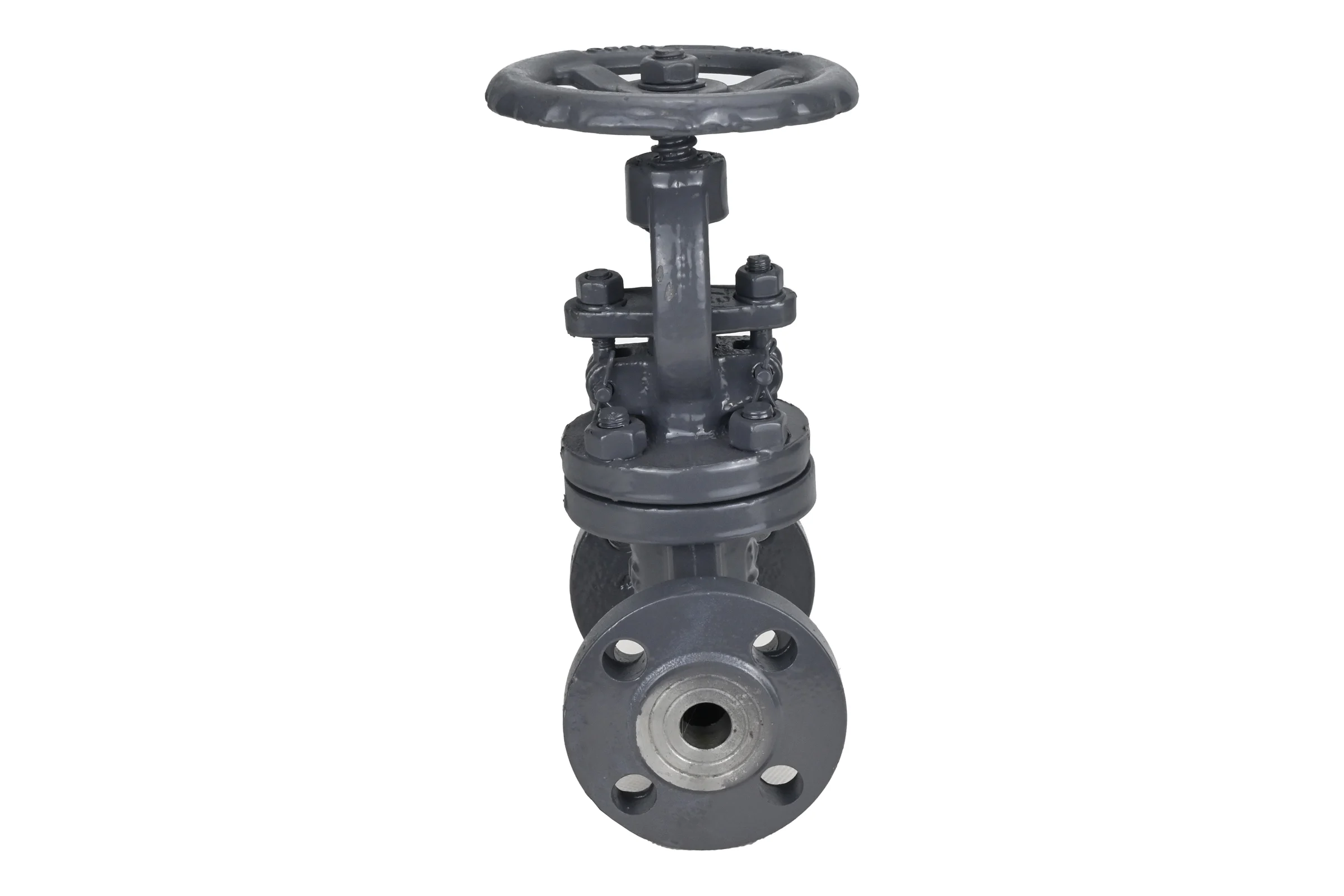 Клапан запорный сальниковый DN.ru 15с65нж WCB-WCB-M-F-S Ду65 Ру16 D090-02859