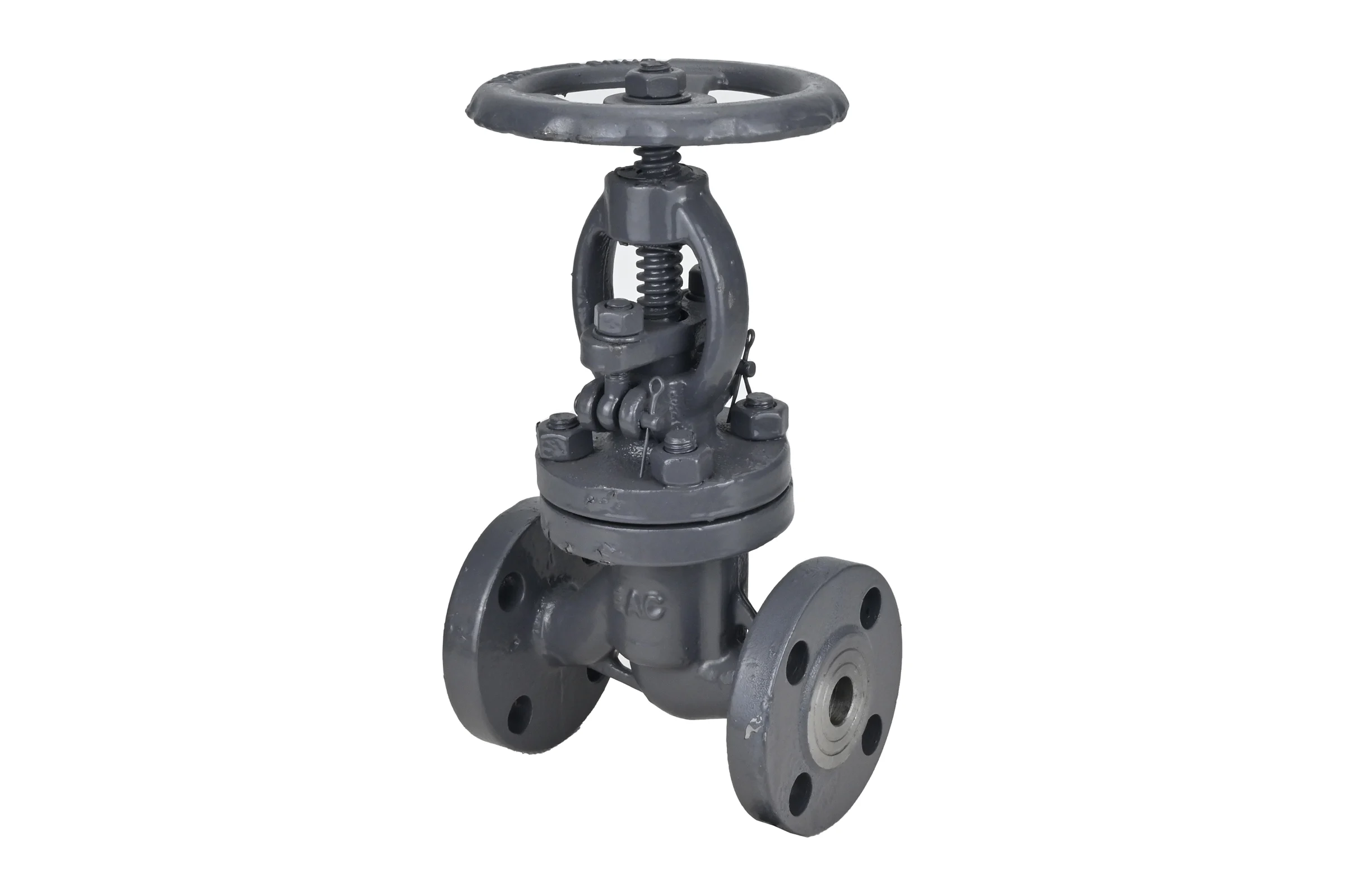 Клапан запорный сальниковый DN.ru 15с65нж WCB-WCB-M-F-S Ду125 Ру16 D090-02862