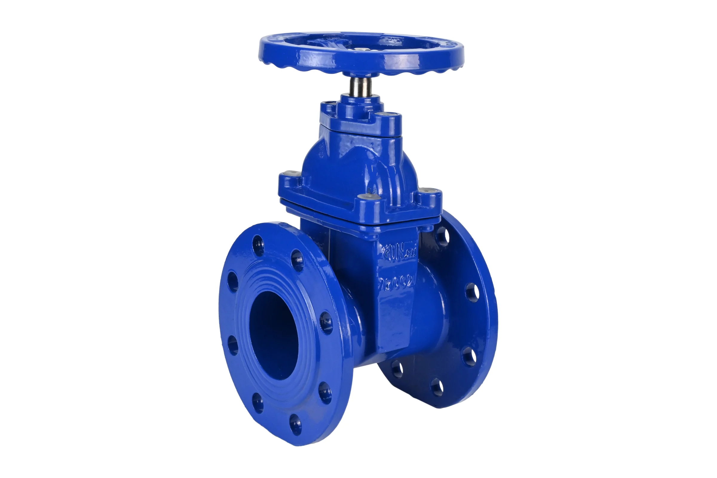 Задвижка клиновая DN.ru 30ч39р (аналог МЗВ) GGG50-GGG50-EPDM-F-S blue Ду200 Ру10/16 D040-08627