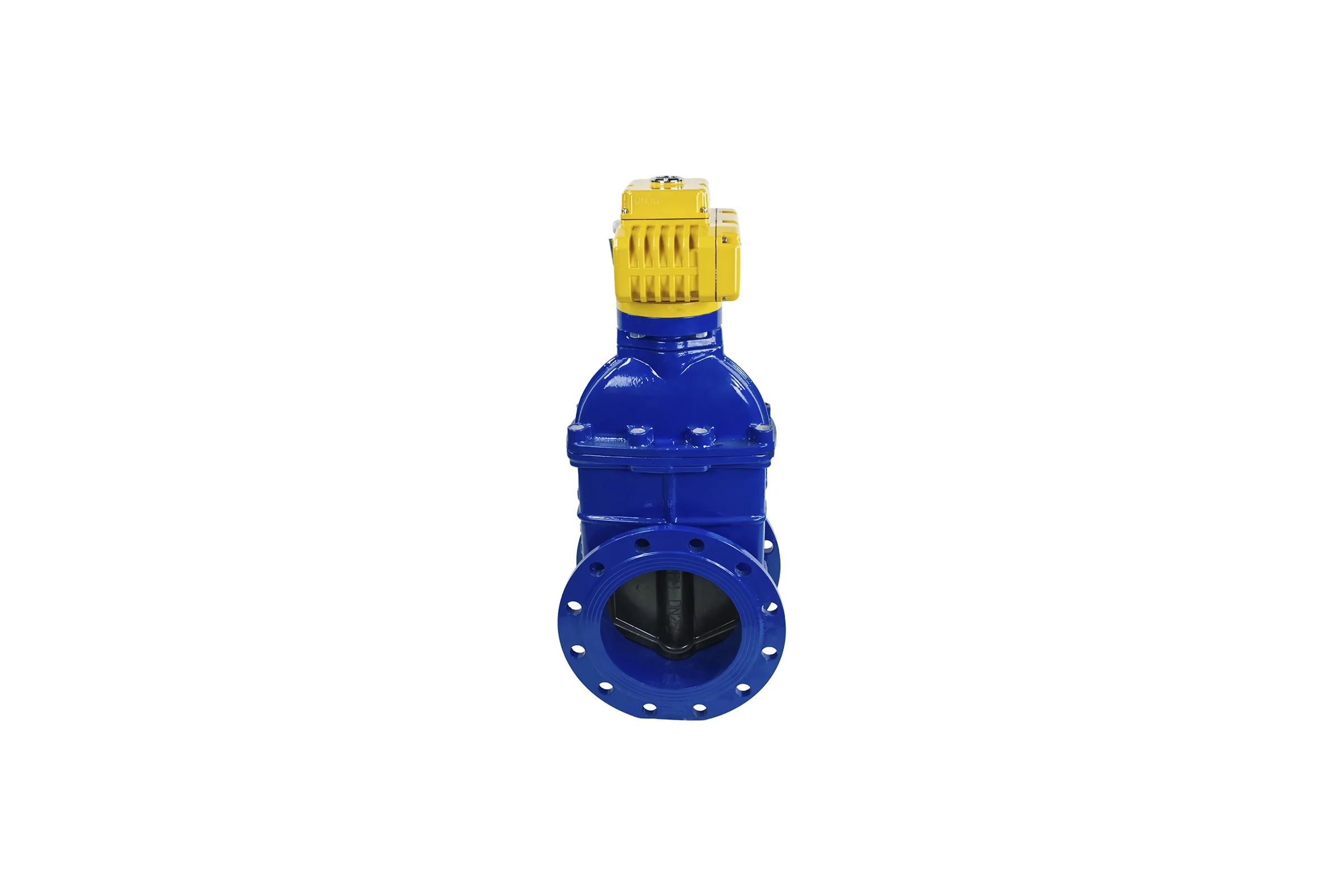 Задвижка DN.ru 30ч939р -250-16-GGG50-EPDM-F4-BLUE Ду250 Ру16 электропривод MT 380В D040-00806
