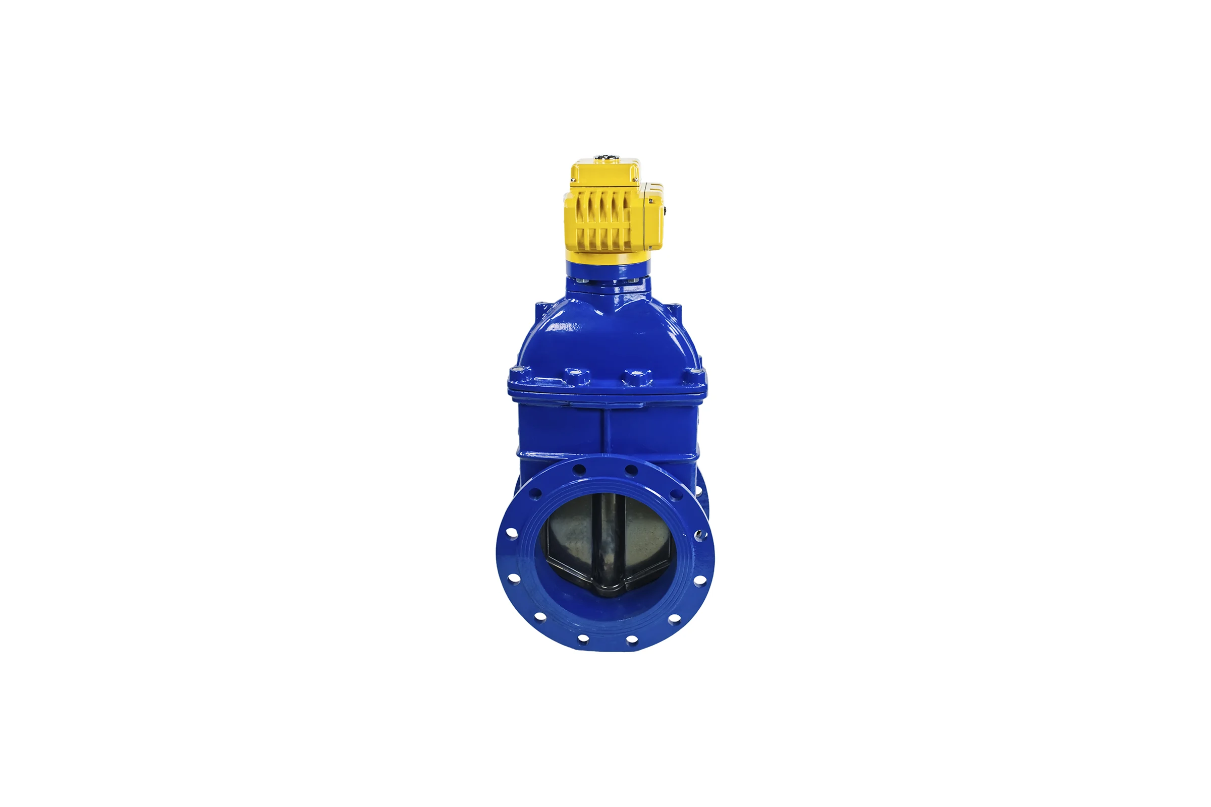 Задвижка DN.ru 30ч939р -300-16-GGG50-EPDM-F4-BLUE Ду300 Ру16 электропривод MT 380В D040-00812