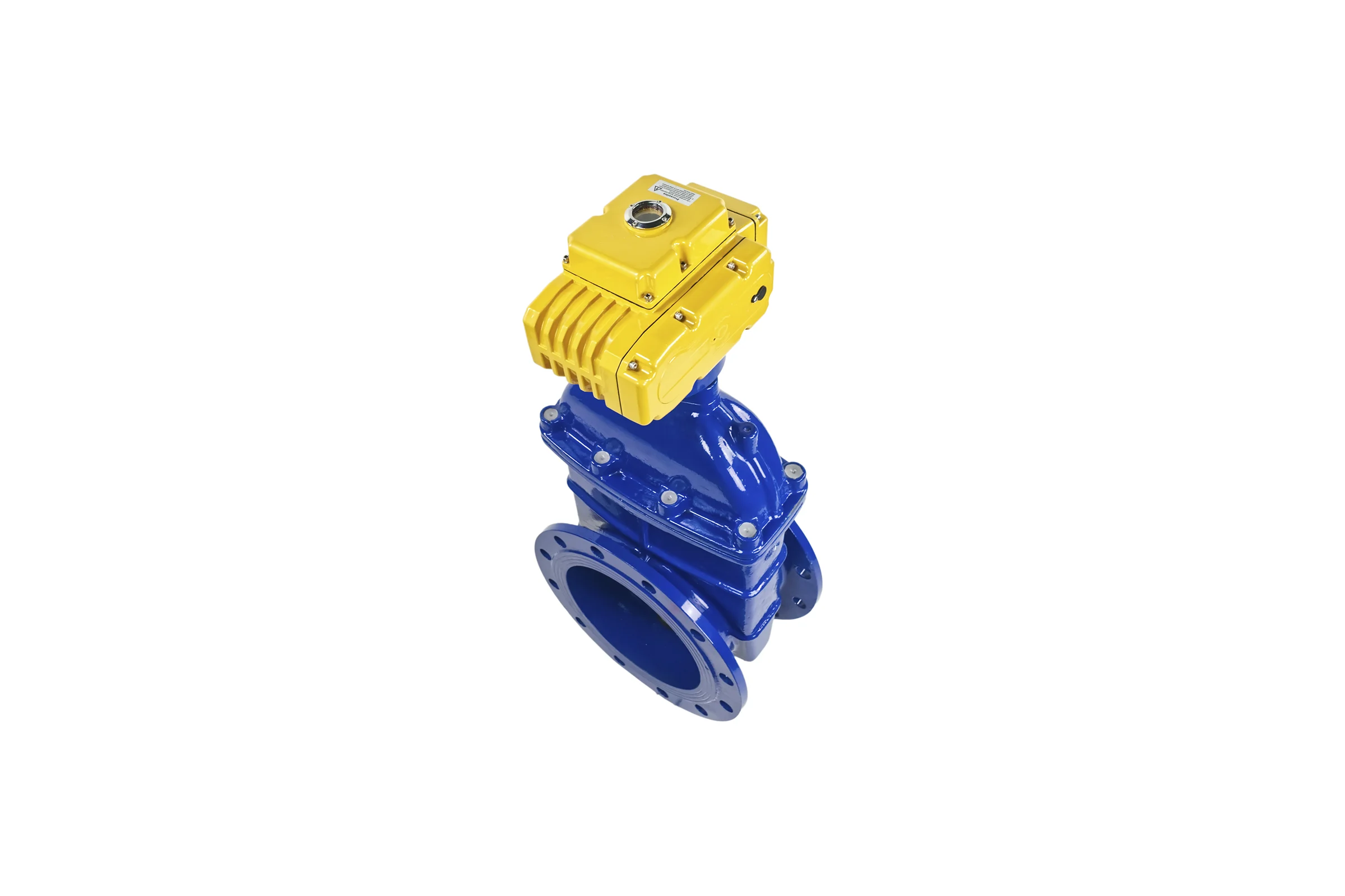 Задвижка DN.ru 30ч939р -300-10-GGG50-EPDM-F4-BLUE Ду300 Ру10 электропривод MT 220В D040-00808