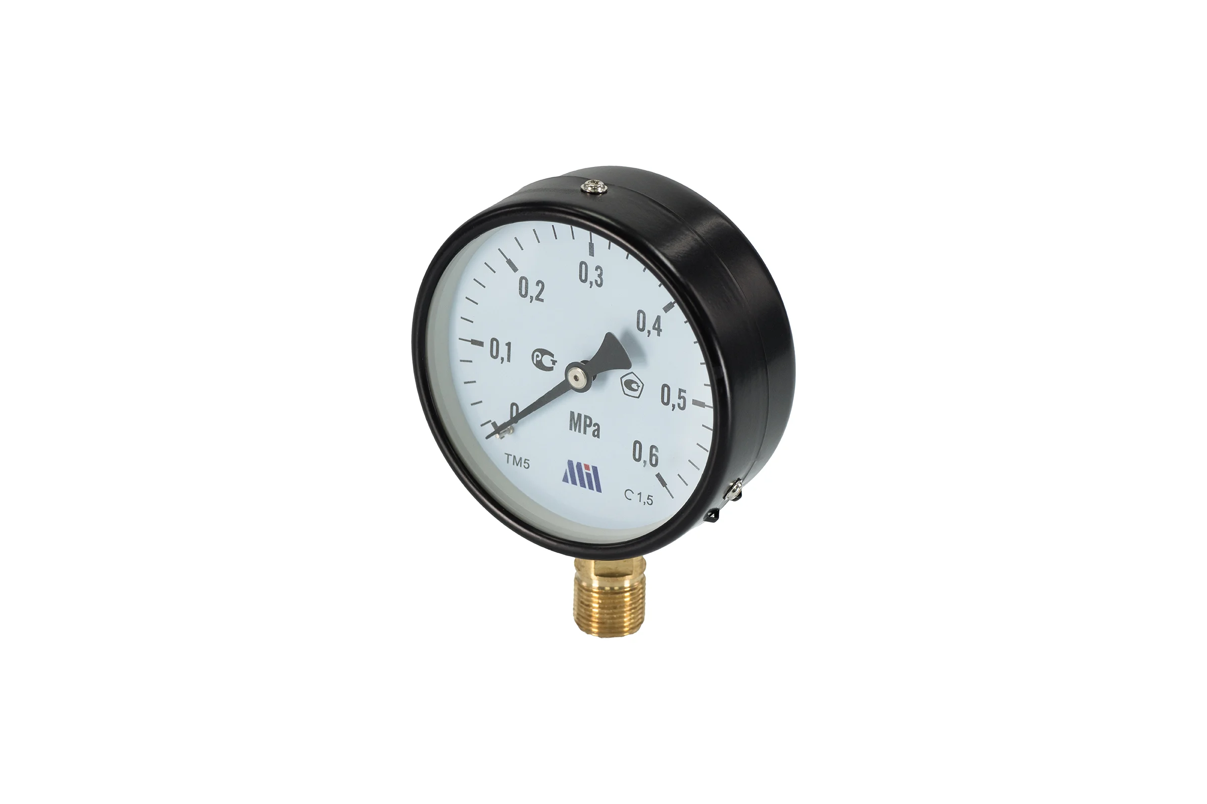 Манометр вертикальный Millennium 1/2" (100/ 6 бар) MVML1206100