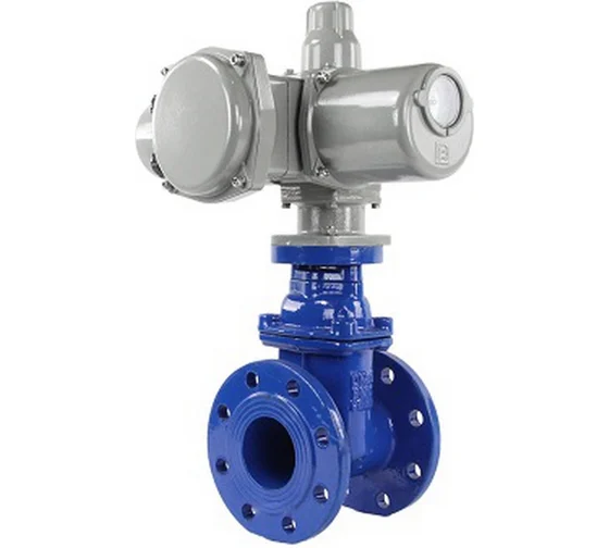 Задвижка DN.ru 30ч939р -250-10-GGG50-EPDM-F4-BLUE Ду250 Ру10 ГЗ Б.300/24, 380В D040-00804