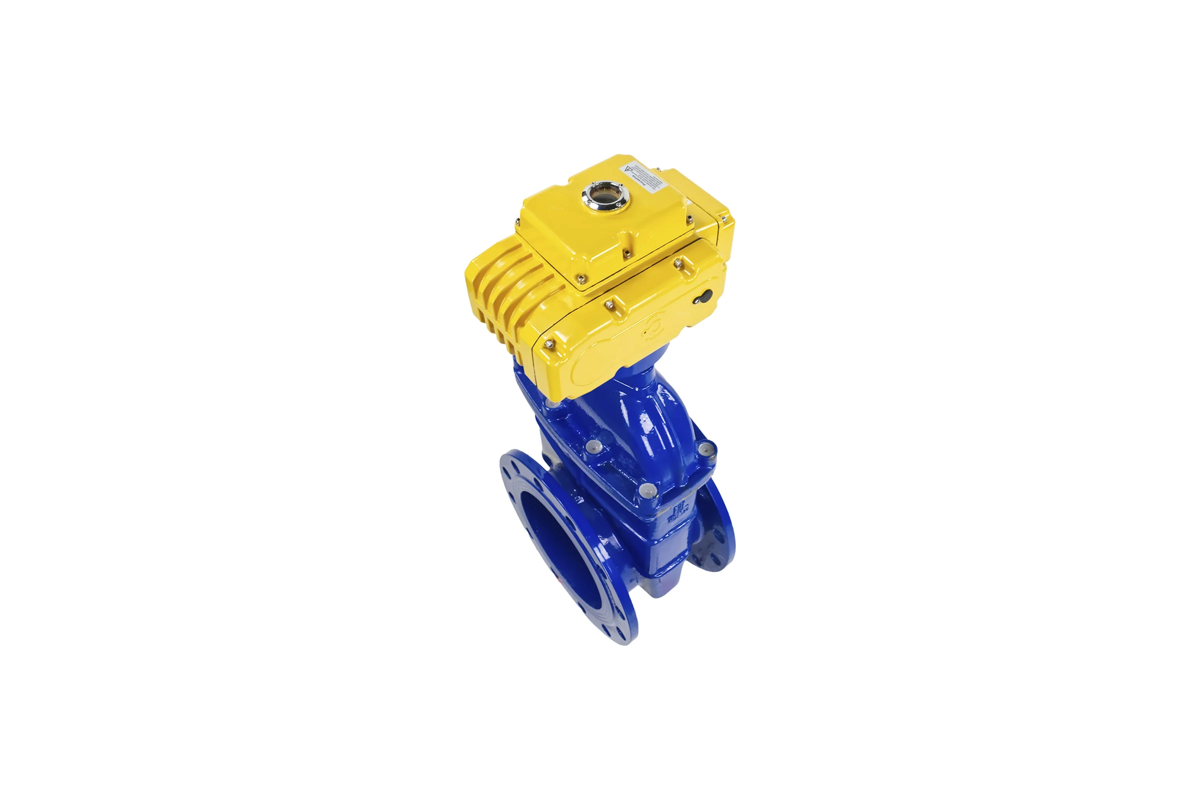 Задвижка DN.RU 30ч939р 250-16-GGG50-EPDM-F4-BLUE Ду250 Ру16 электропривод MT 220В D040-00805
