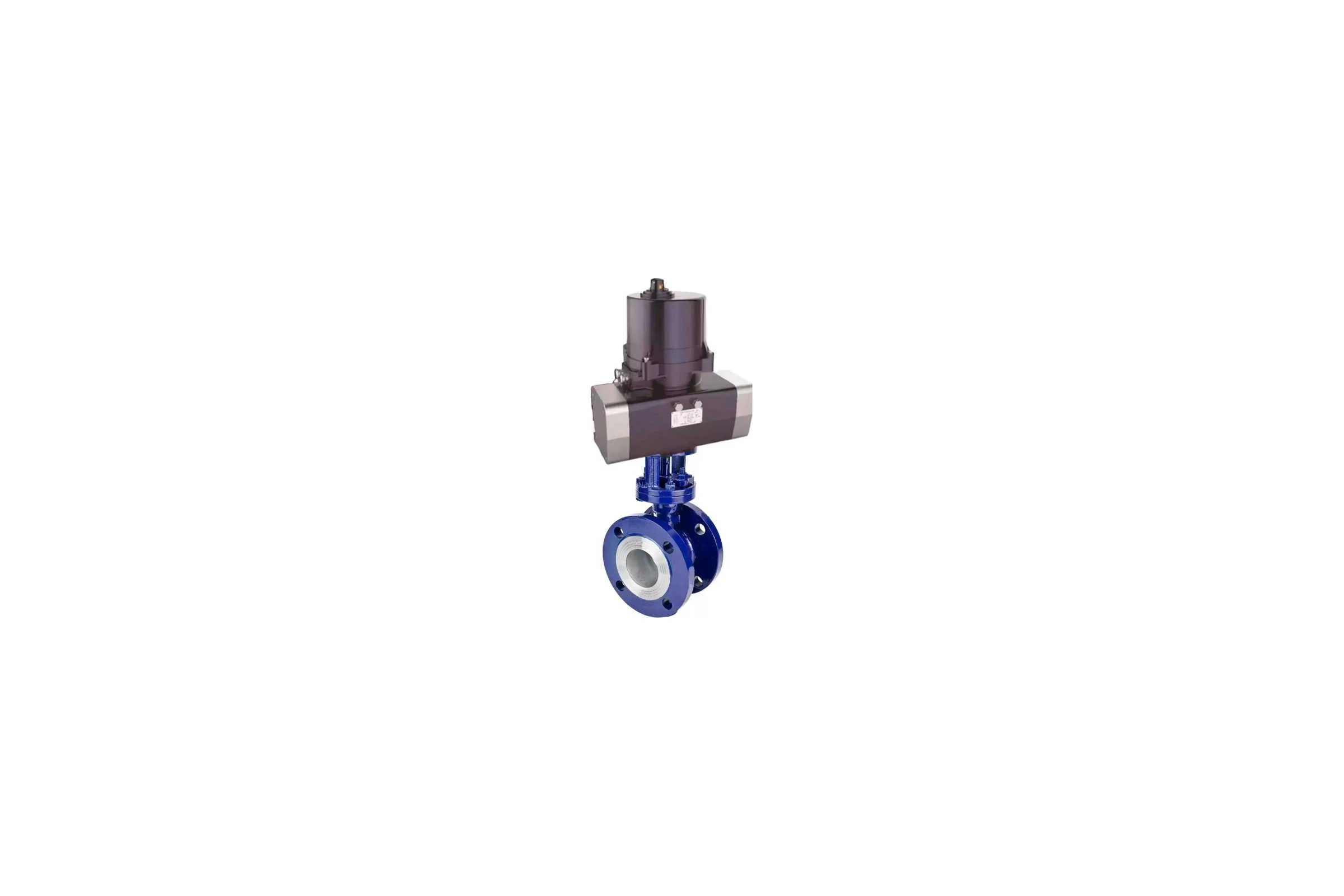 Затвор дисковый DN.ru WCB-304-M-F-ISO Ду80 Ру25 электропривод 220В D050-81428