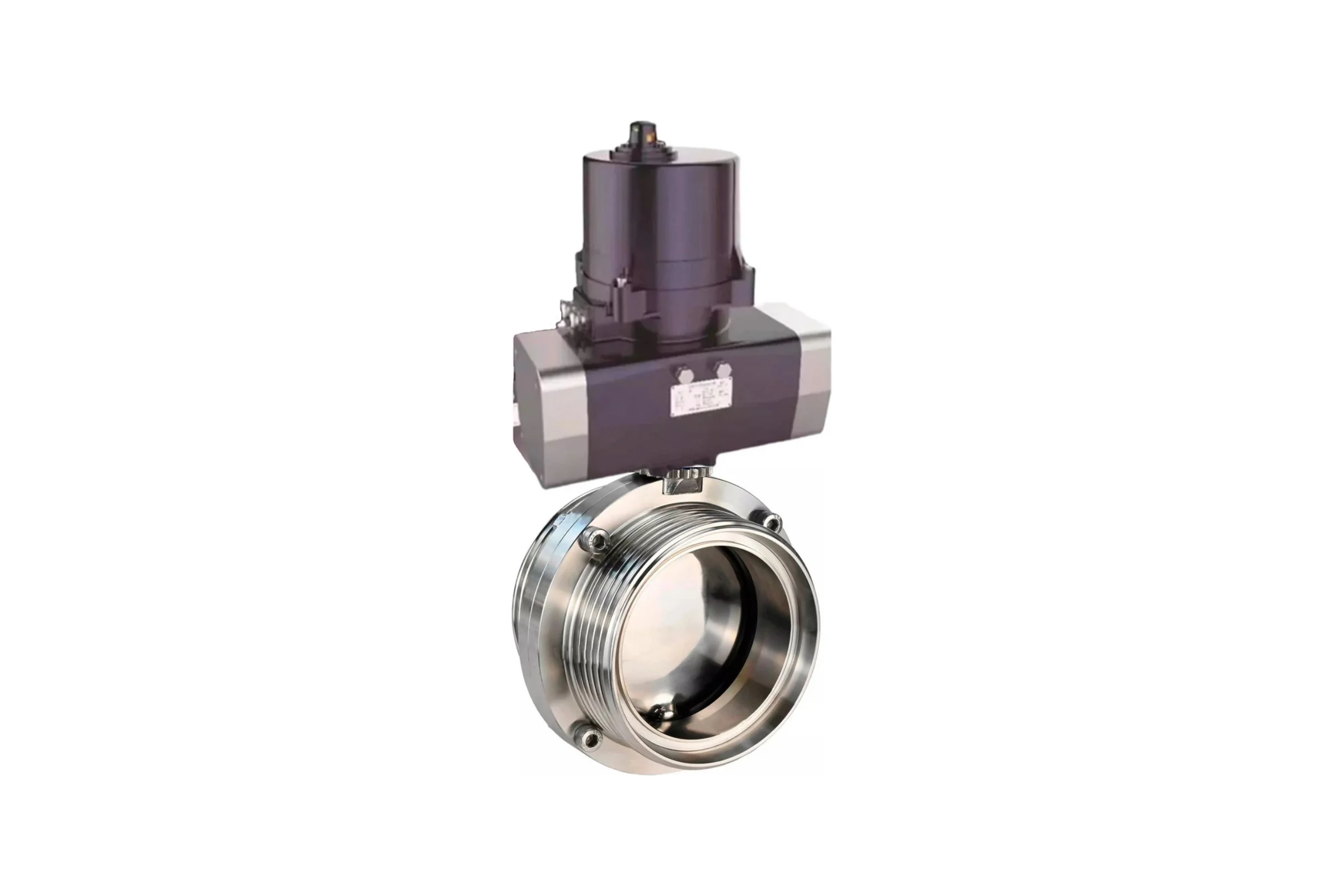 Затвор дисковый DN.ru 304-304-EPDM-2W-T-H Ду65 Ру10 резьбовой, электропривод 220В D050-81303