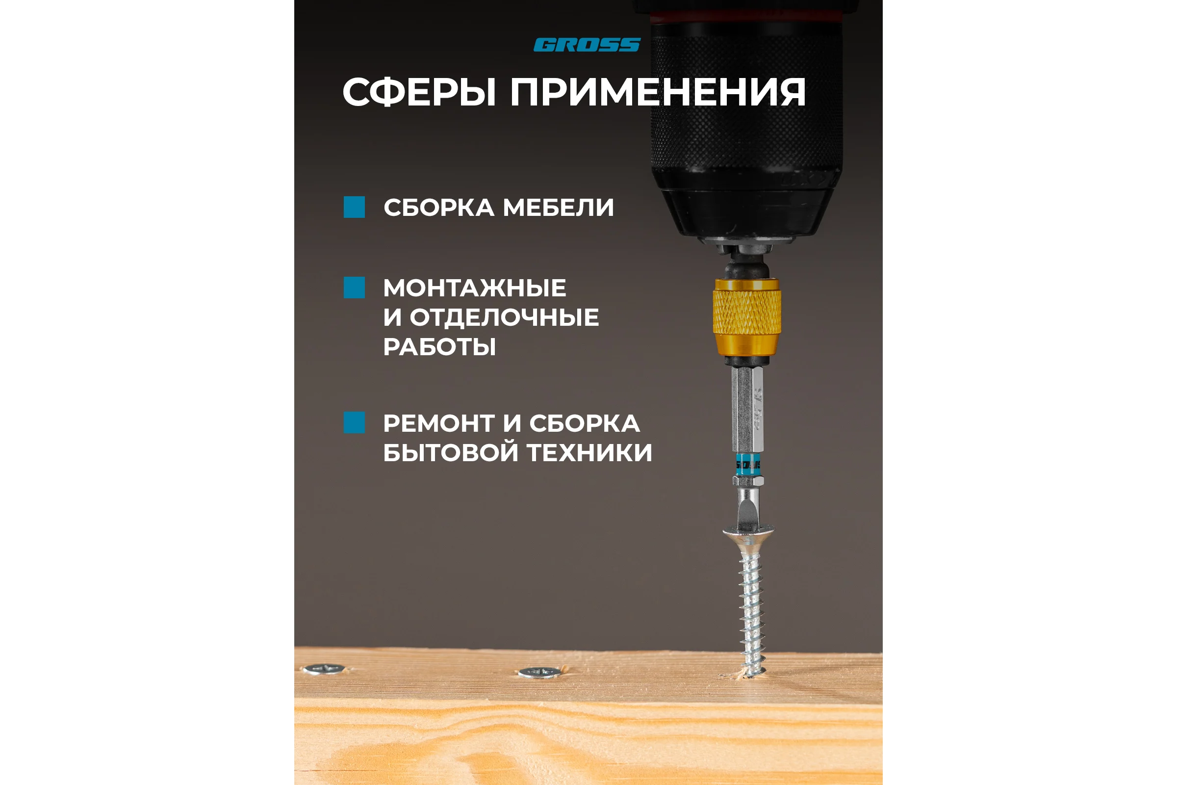 Бита GROSS SL5.0, 50мм, сталь S2, шестигр., 10 шт  113025