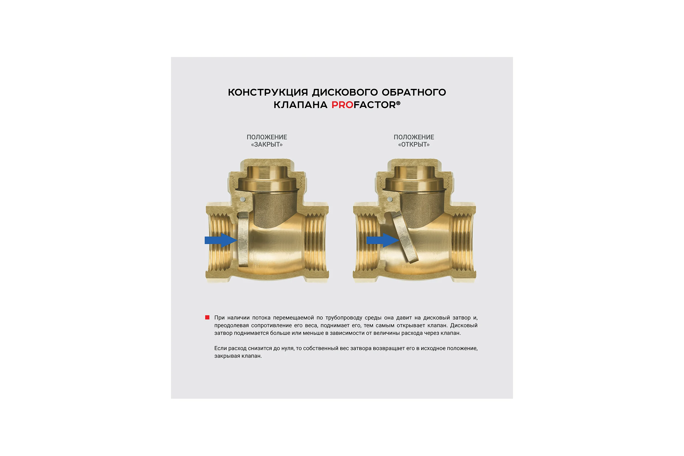 Обратный клапан PROFACTOR горизонтальный, в/в 2" PF CV 249.50