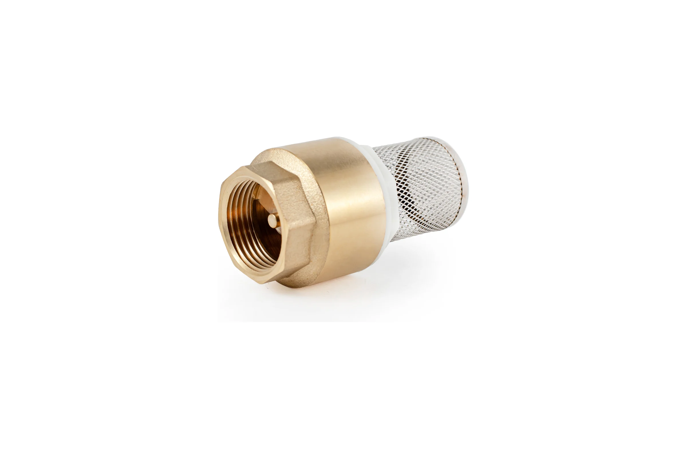 Обратный клапан PROFACTOR с фильтром, 1" PF CVS 248