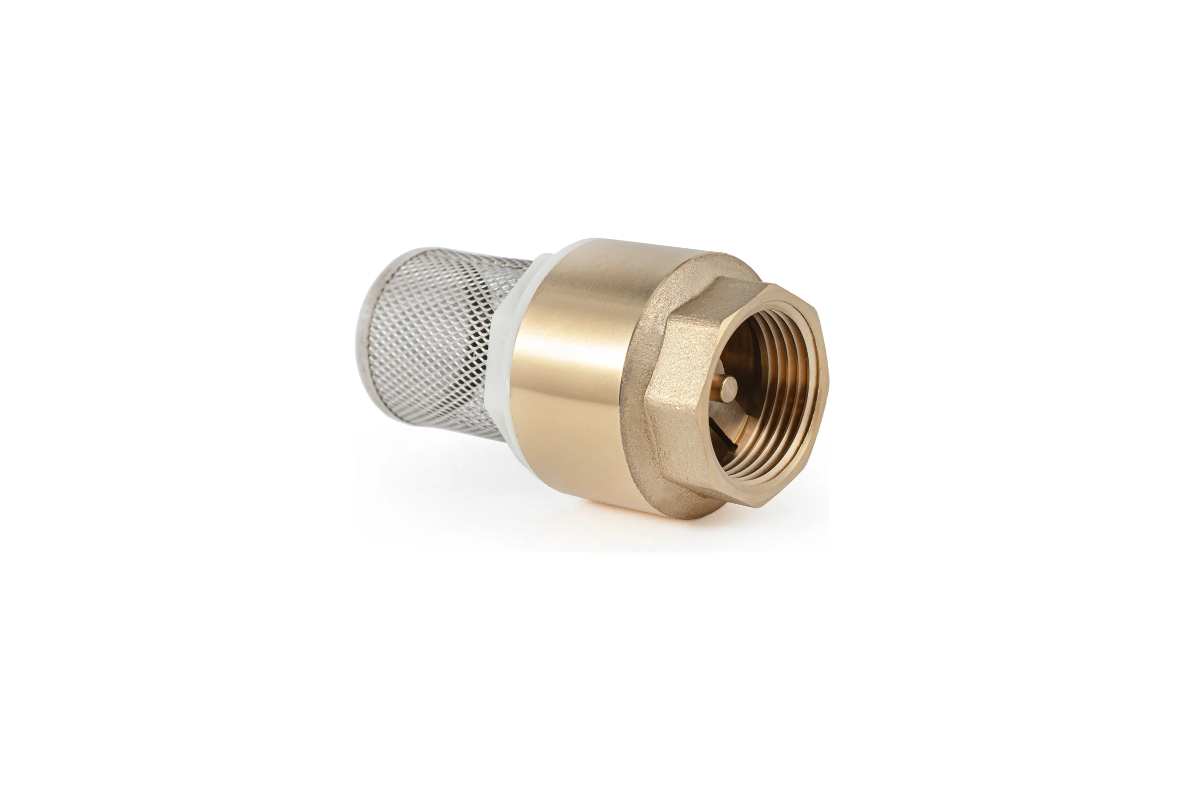 Обратный клапан PROFACTOR с фильтром, 1" PF CVS 248