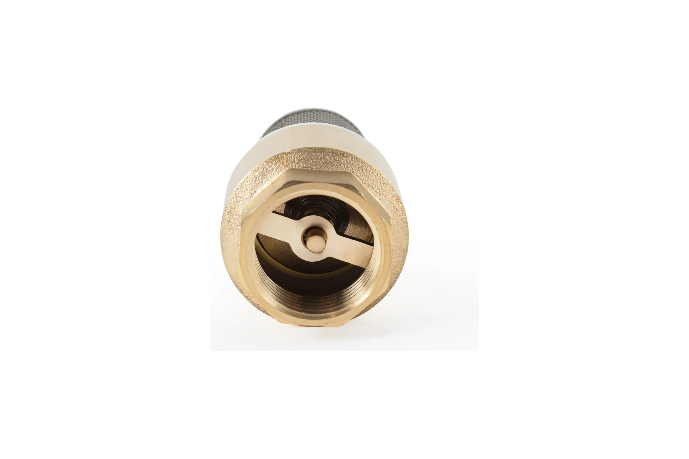 Обратный клапан PROFACTOR с фильтром, 1" PF CVS 248