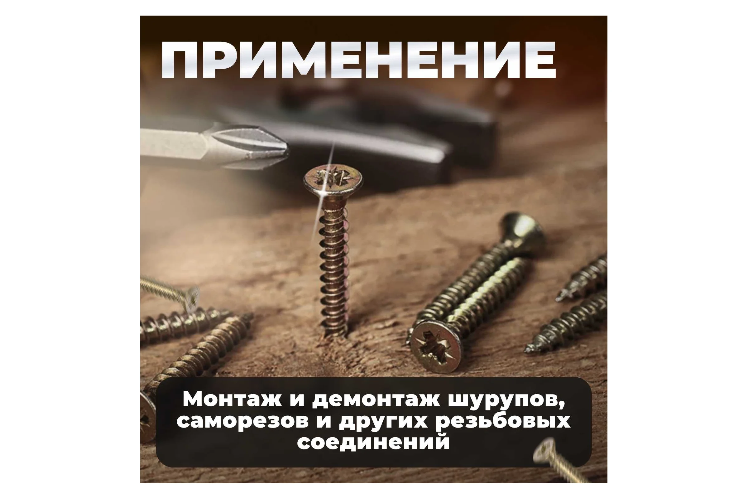 Бита магнитная для шуруповерта Expert PH2х25 мм, 10 шт STARTUL SE8502-25