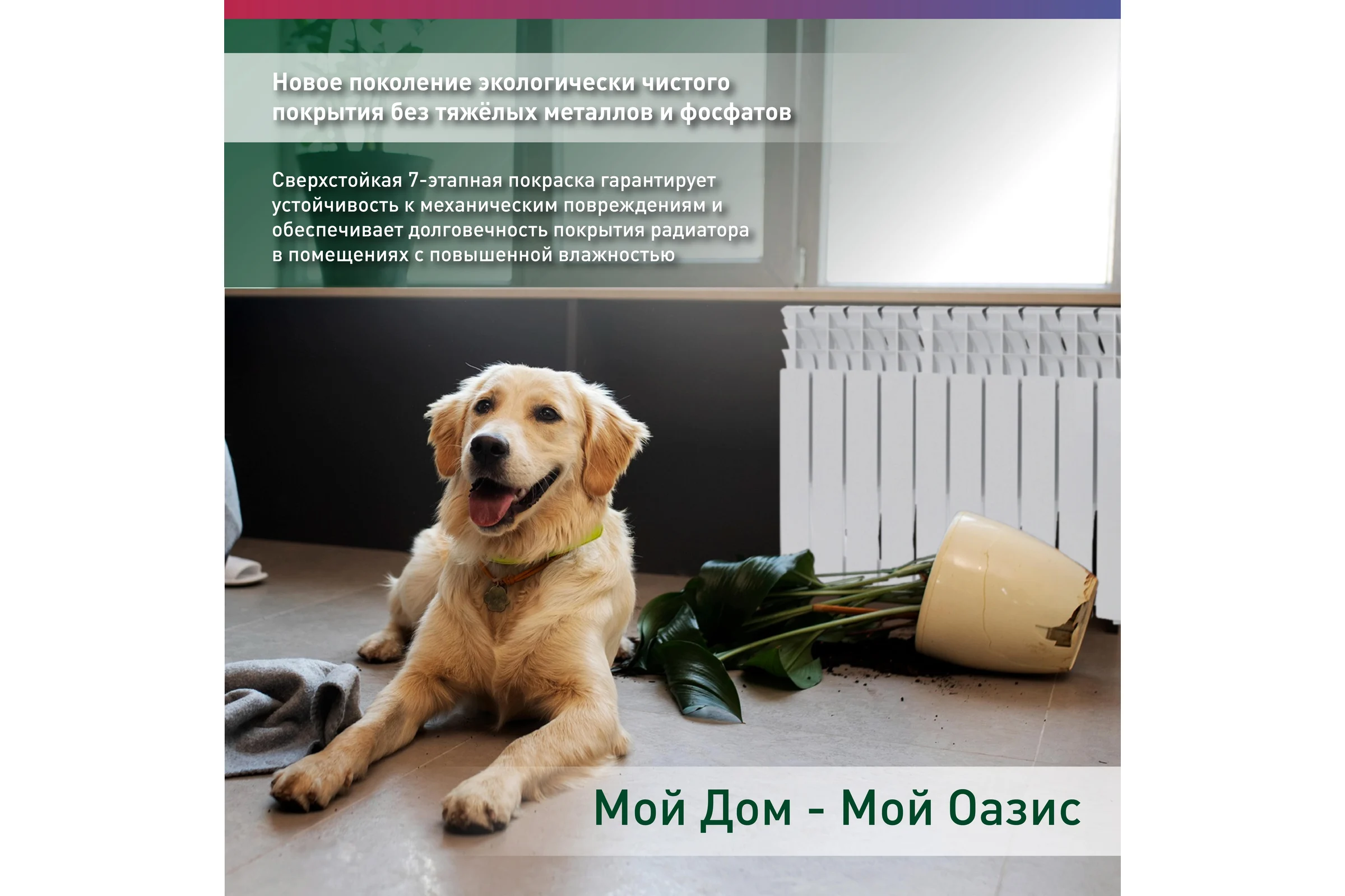Алюминиевый радиатор OASIS ECO 500/80/10 4640039487098