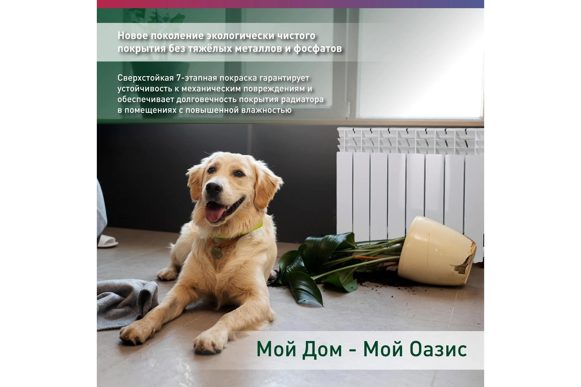 Алюминиевый радиатор OASIS ECO 500/80/8 4640039487081