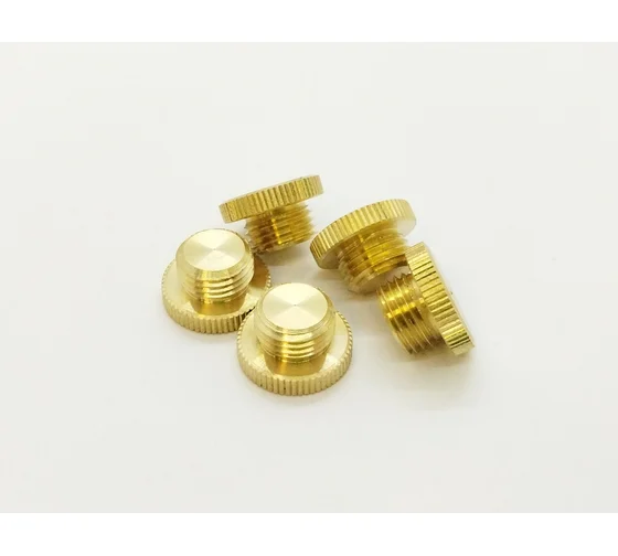 Заглушка HG1/4" НР, 5 шт 4960127