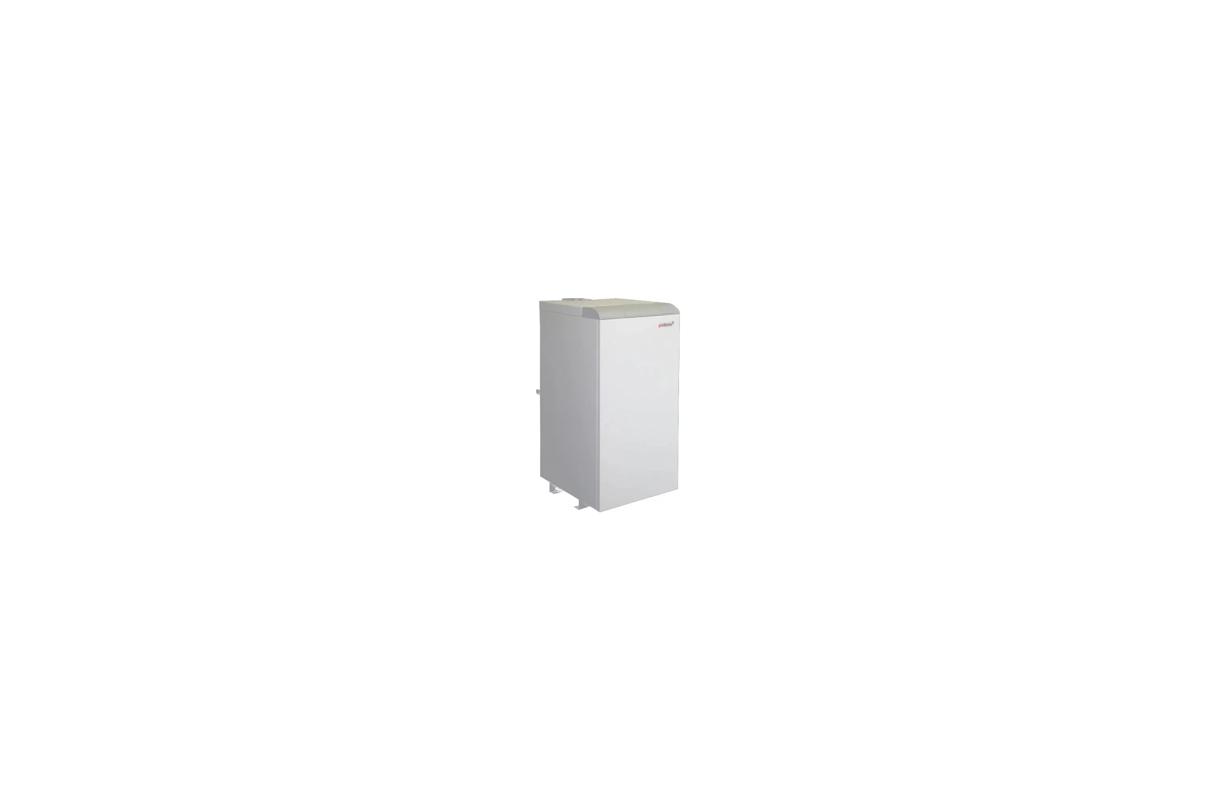 Газовый напольный котел Protherm Медведь 40 KLZ 10005750 RAN30I0G0AEOMU