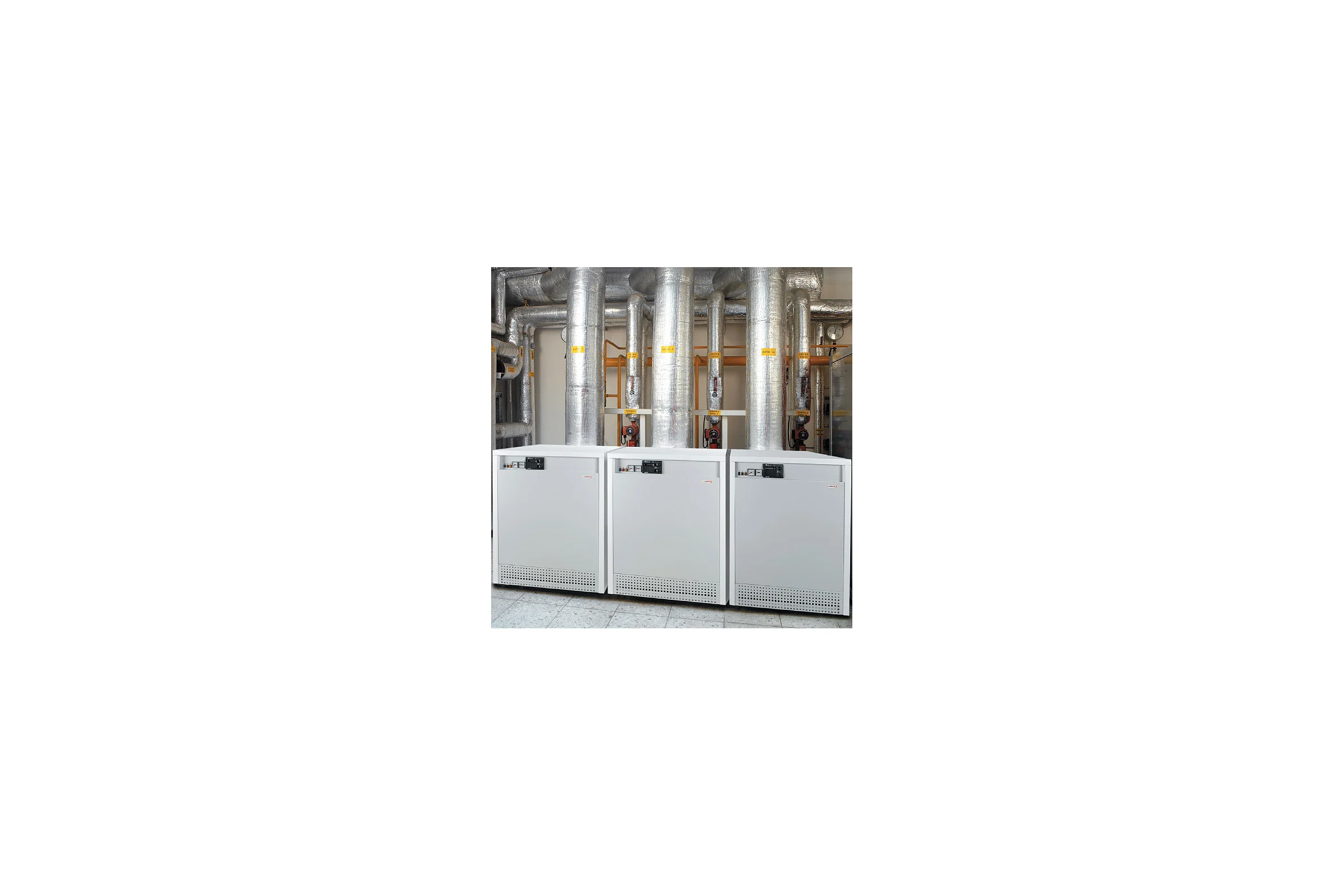 Газовый напольный котел Protherm Гризли 65 KLO