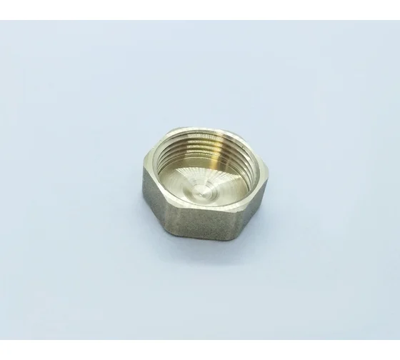 Заглушка BRASSCO Premium G1 ВР 4962244