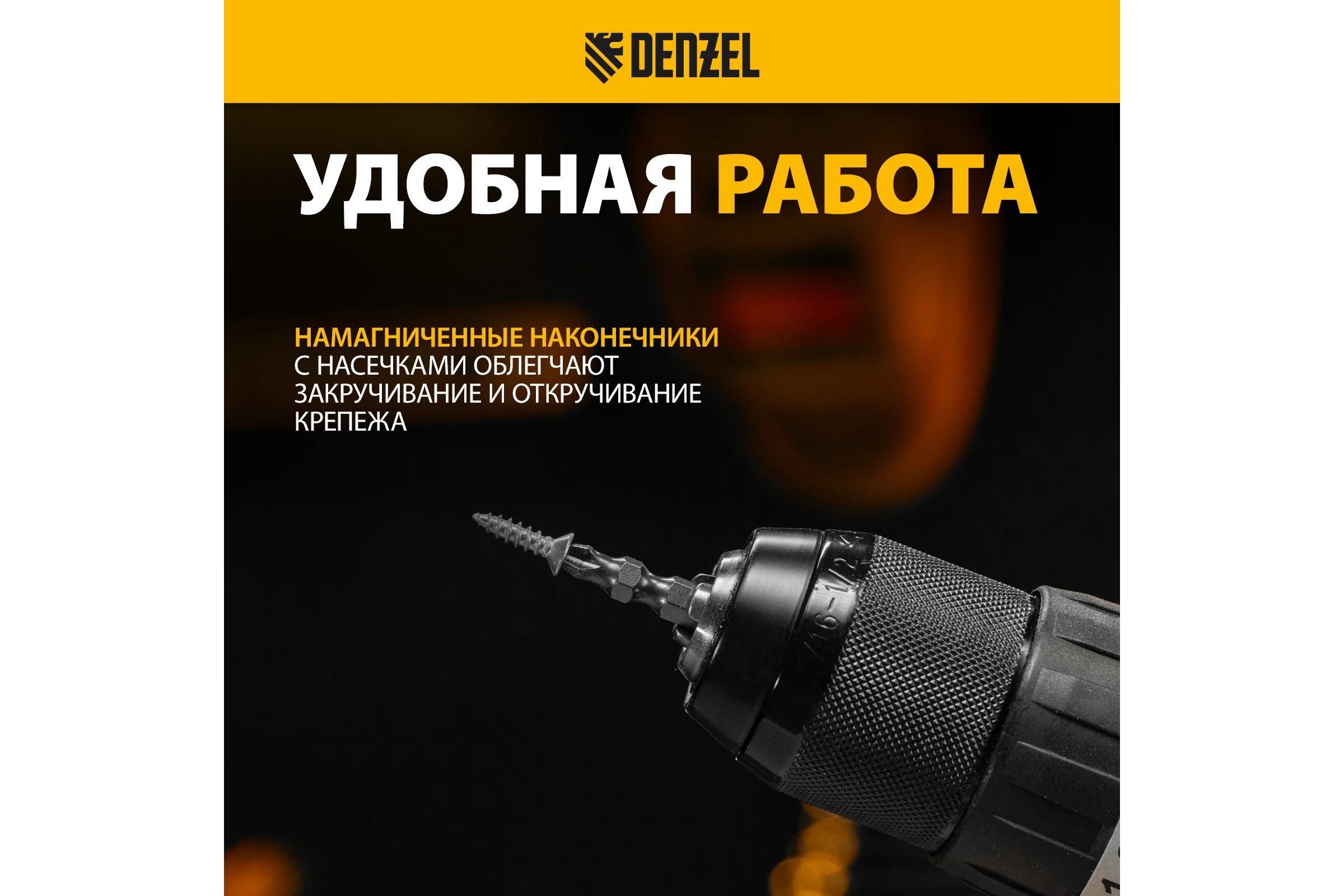 Набор бит двухсторонних PH2-PZ2, 45 мм, сталь S2, 10 шт Denzel 11675