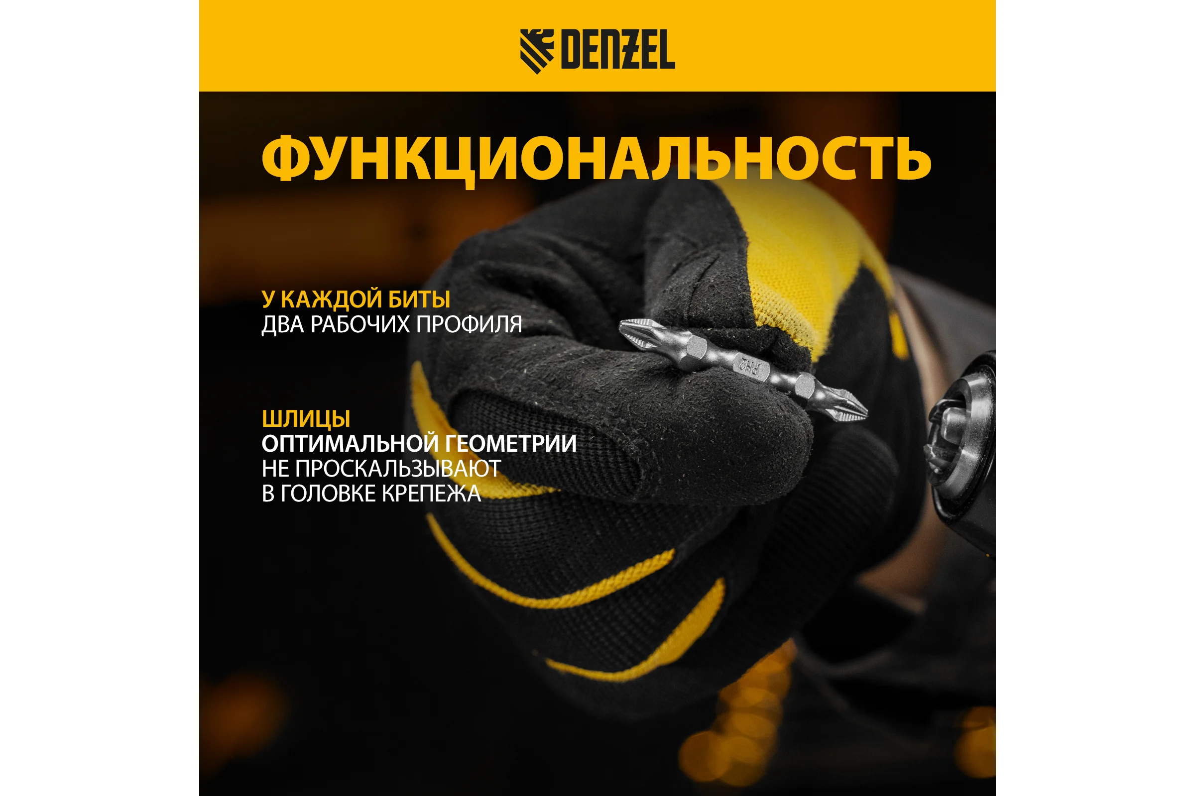 Набор бит двухсторонних PH2-PZ2, 45 мм, сталь S2, 10 шт Denzel 11675