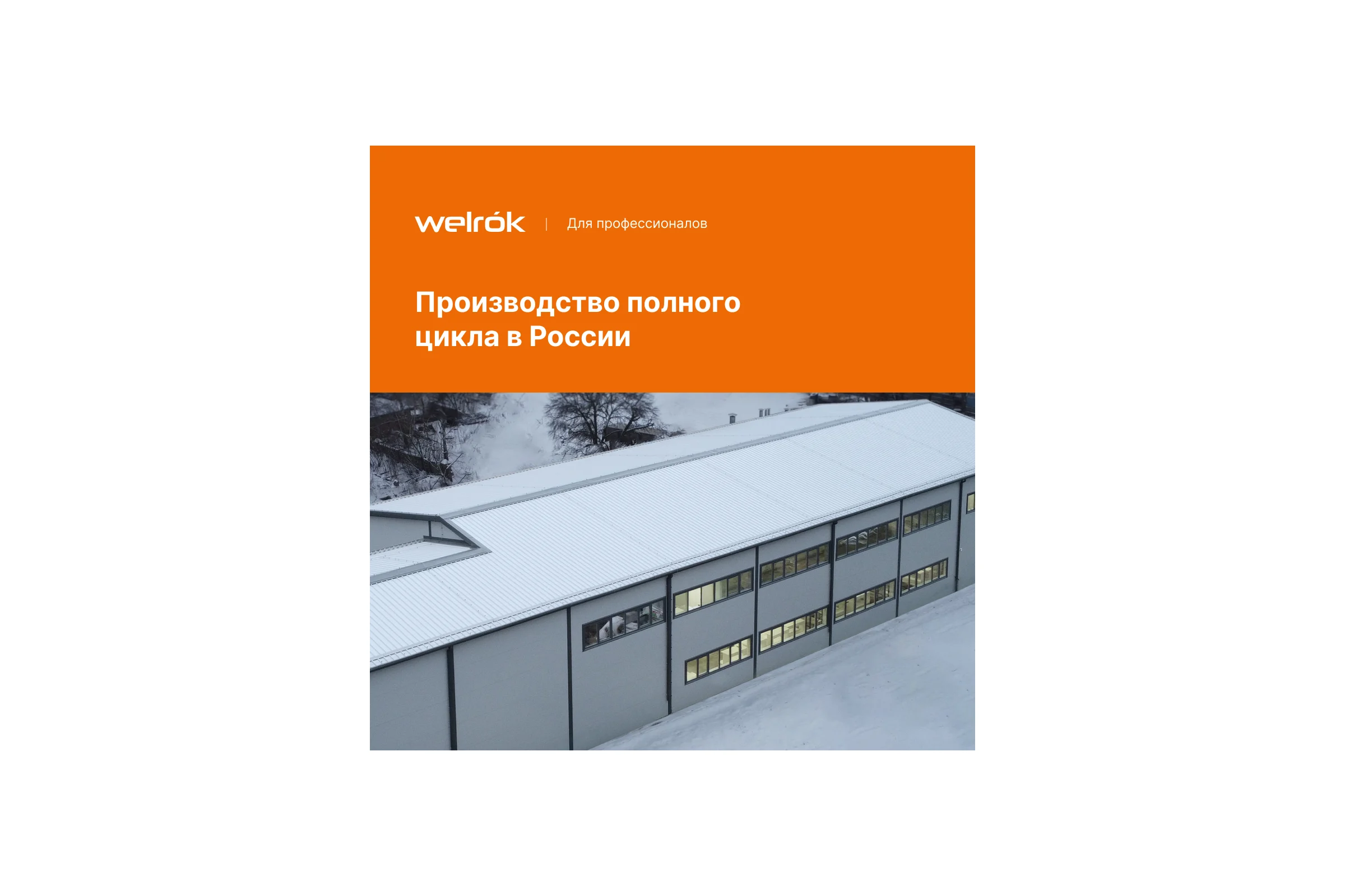 Терморегулятор Welrok mex 4660251140038