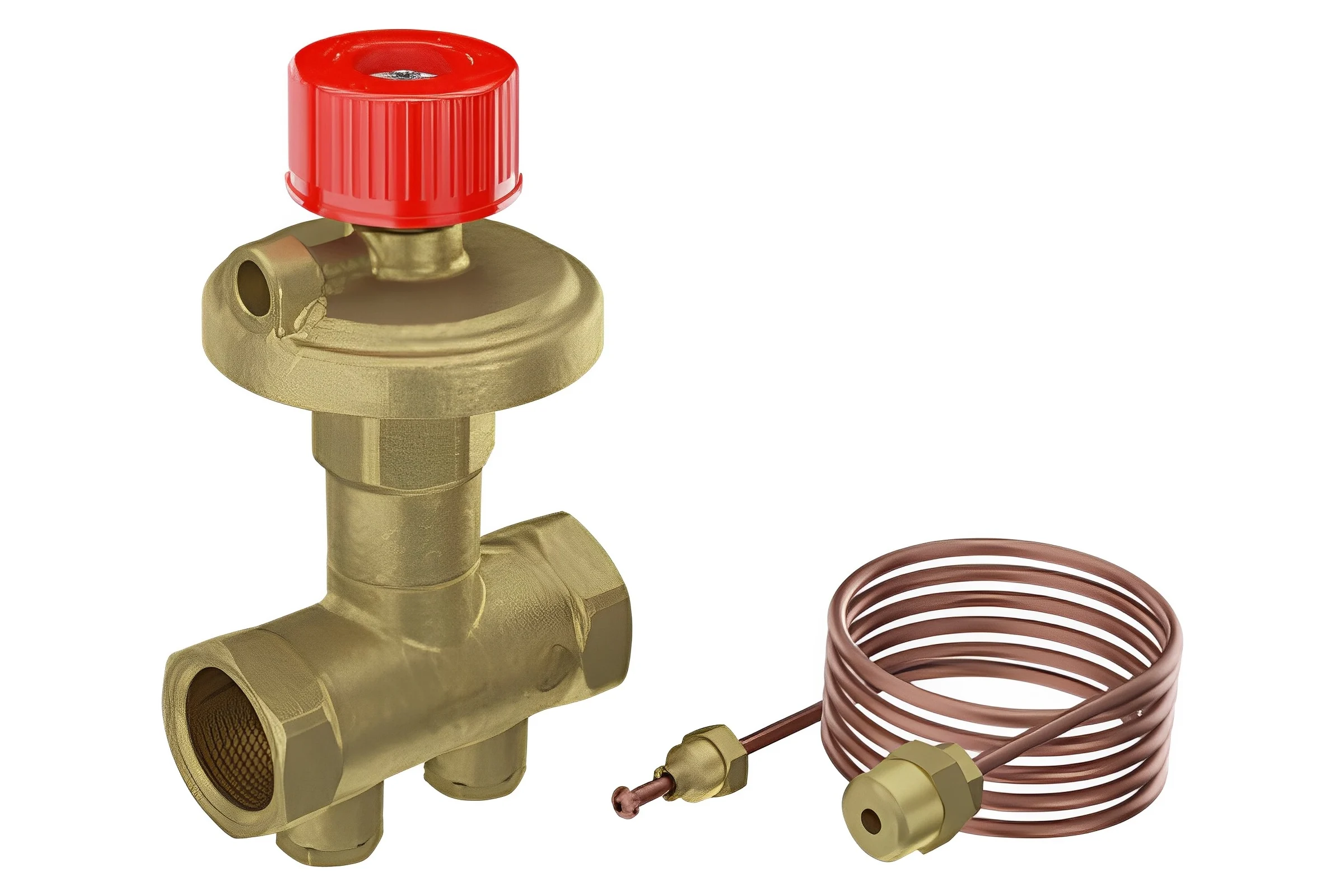 Регулятор дифференциального давления Giacomini DN15 - 1/2 R206CY223