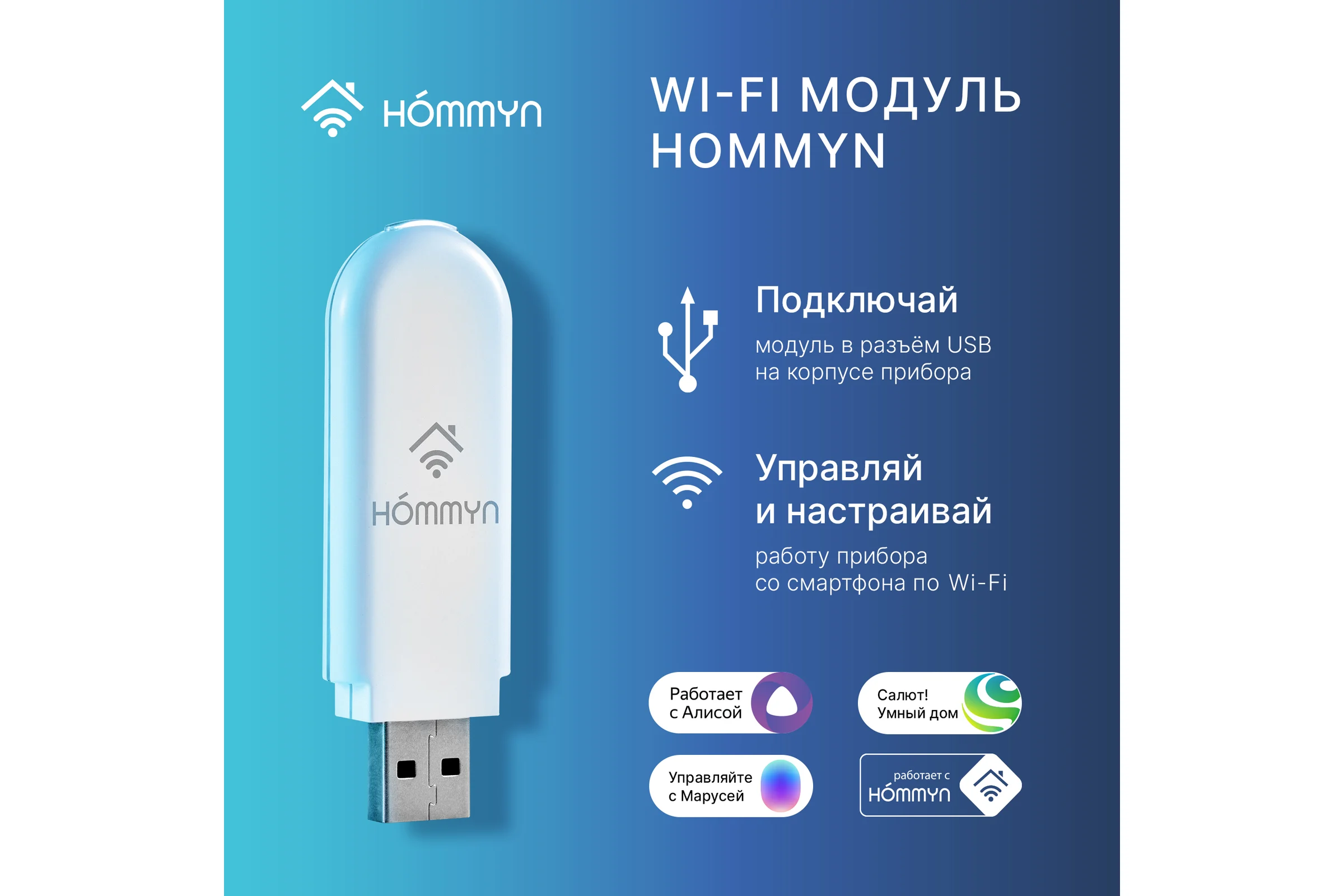 Съемный управляющий модуль HOMMYN HDN/WFN-02-01  НС-1416708