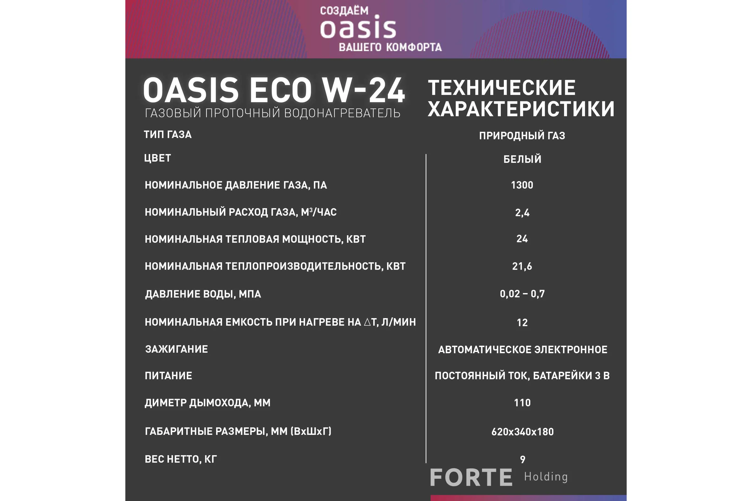Газовый проточный водонагреватель OASIS Eco W-24 4670004375303